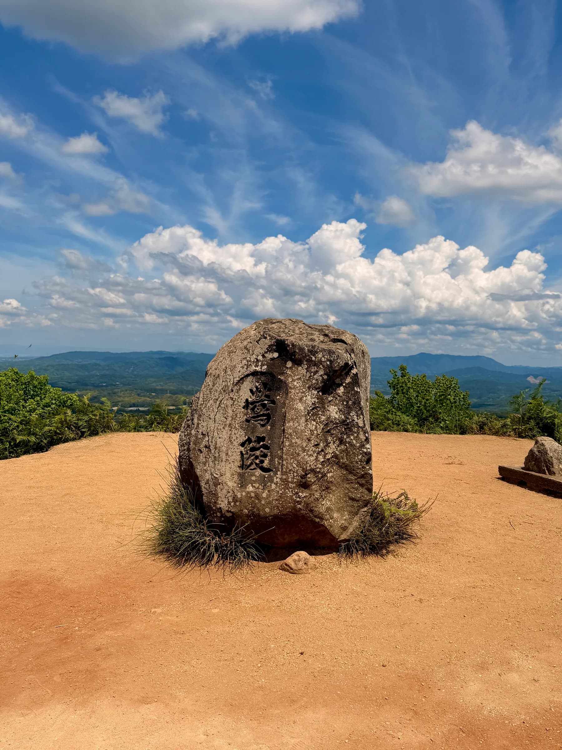 Nara Walking Tour: World Heritage, Sacred Deer, Ancient Forest and Old Town