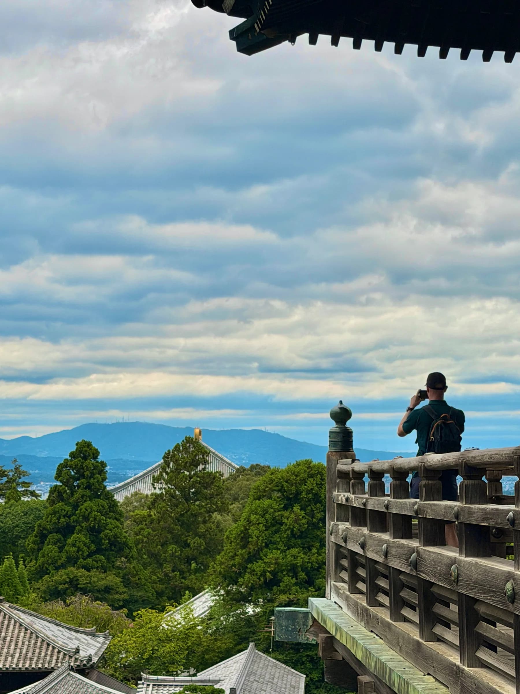 Nara Walking Tour: World Heritage, Sacred Deer, Ancient Forest and Old Town