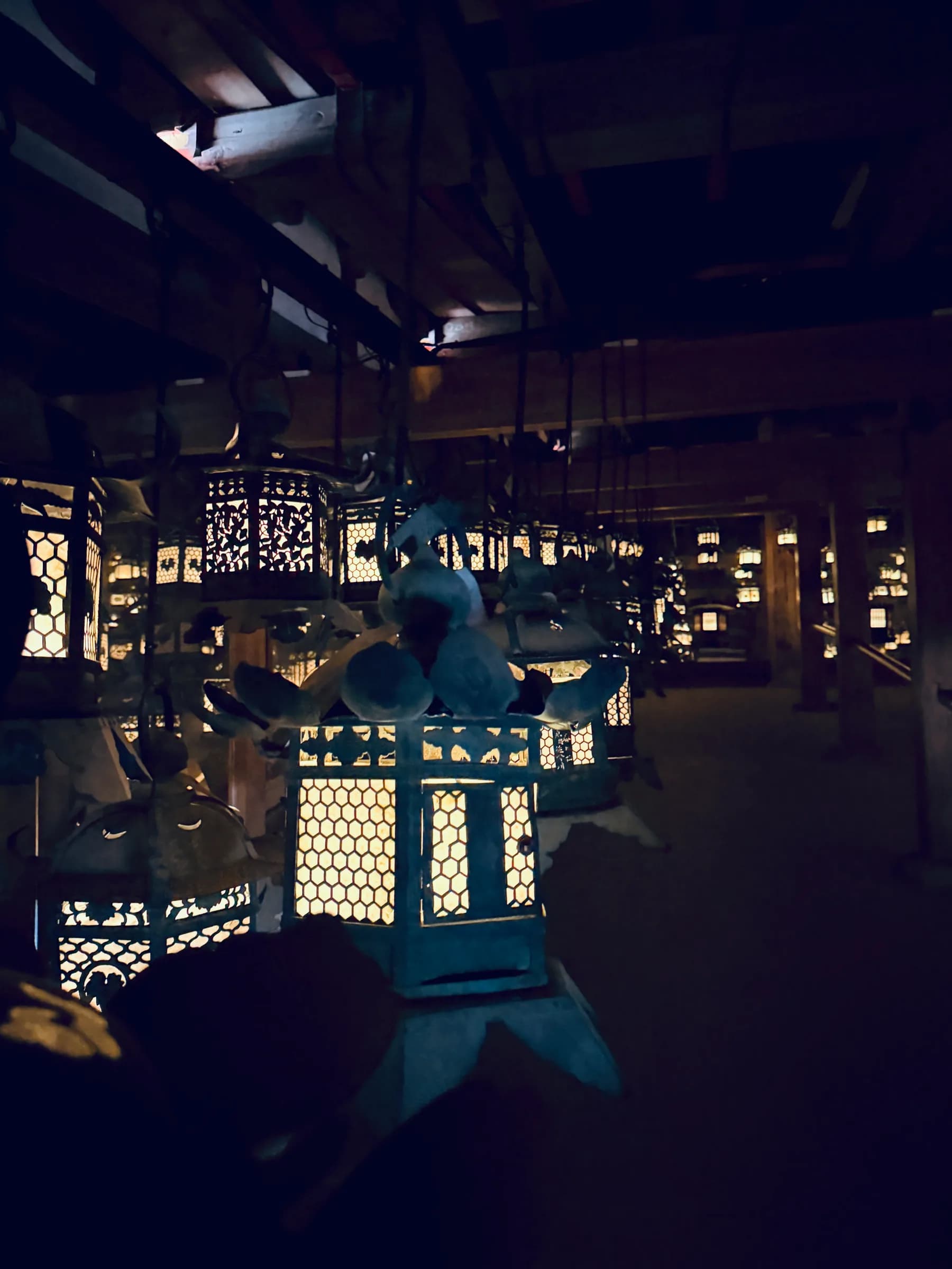 Nara Walking Tour: World Heritage, Sacred Deer, Ancient Forest and Old Town