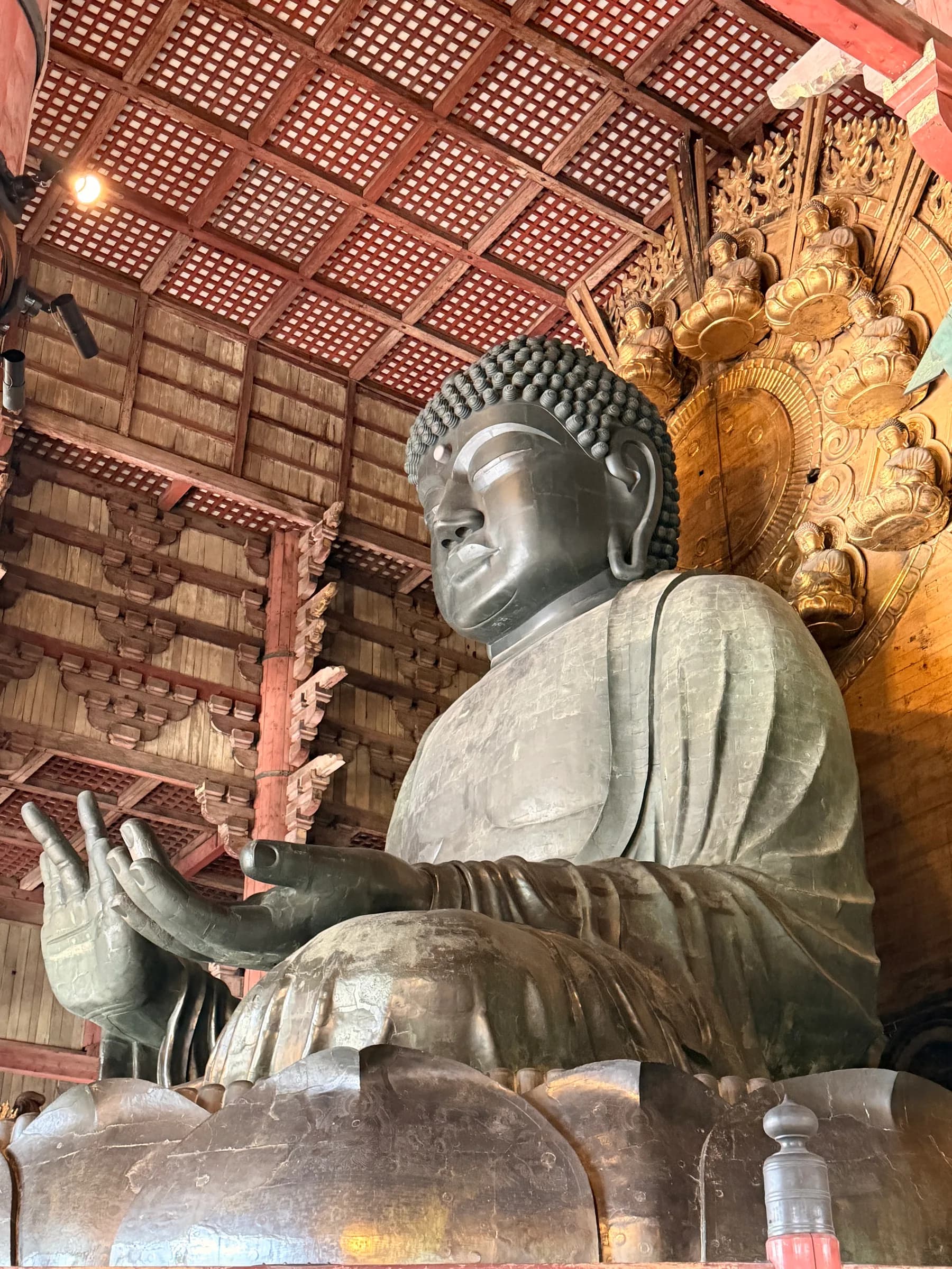 Nara Walking Tour: World Heritage, Sacred Deer, Ancient Forest and Old Town