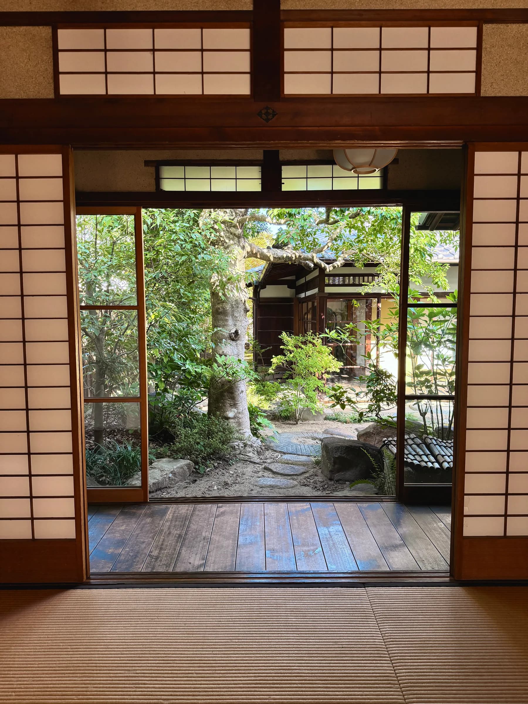Nara Walking Tour: World Heritage, Sacred Deer, Ancient Forest and Old Town