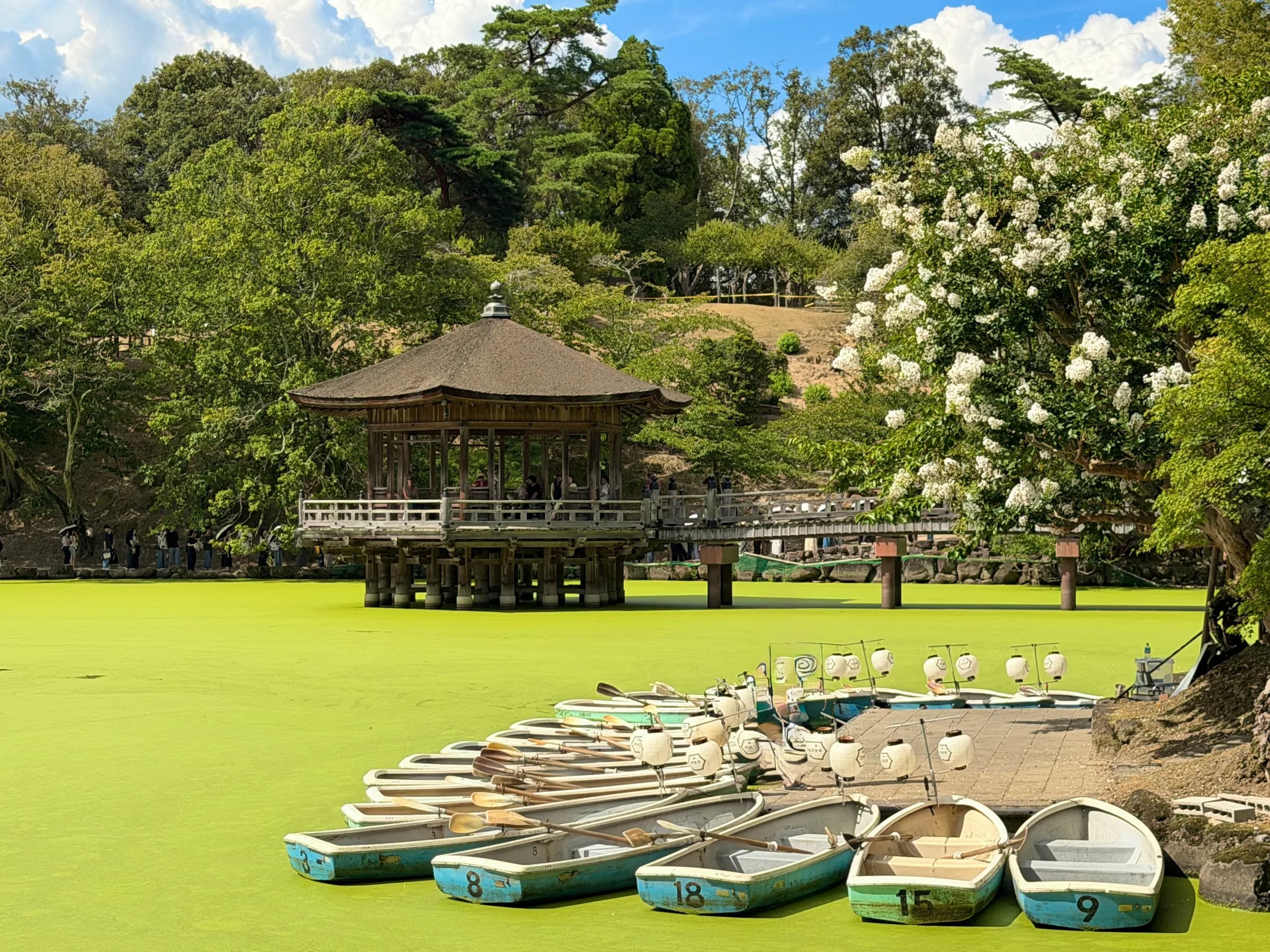 Nara Walking Tour: World Heritage, Sacred Deer, Ancient Forest and Old Town