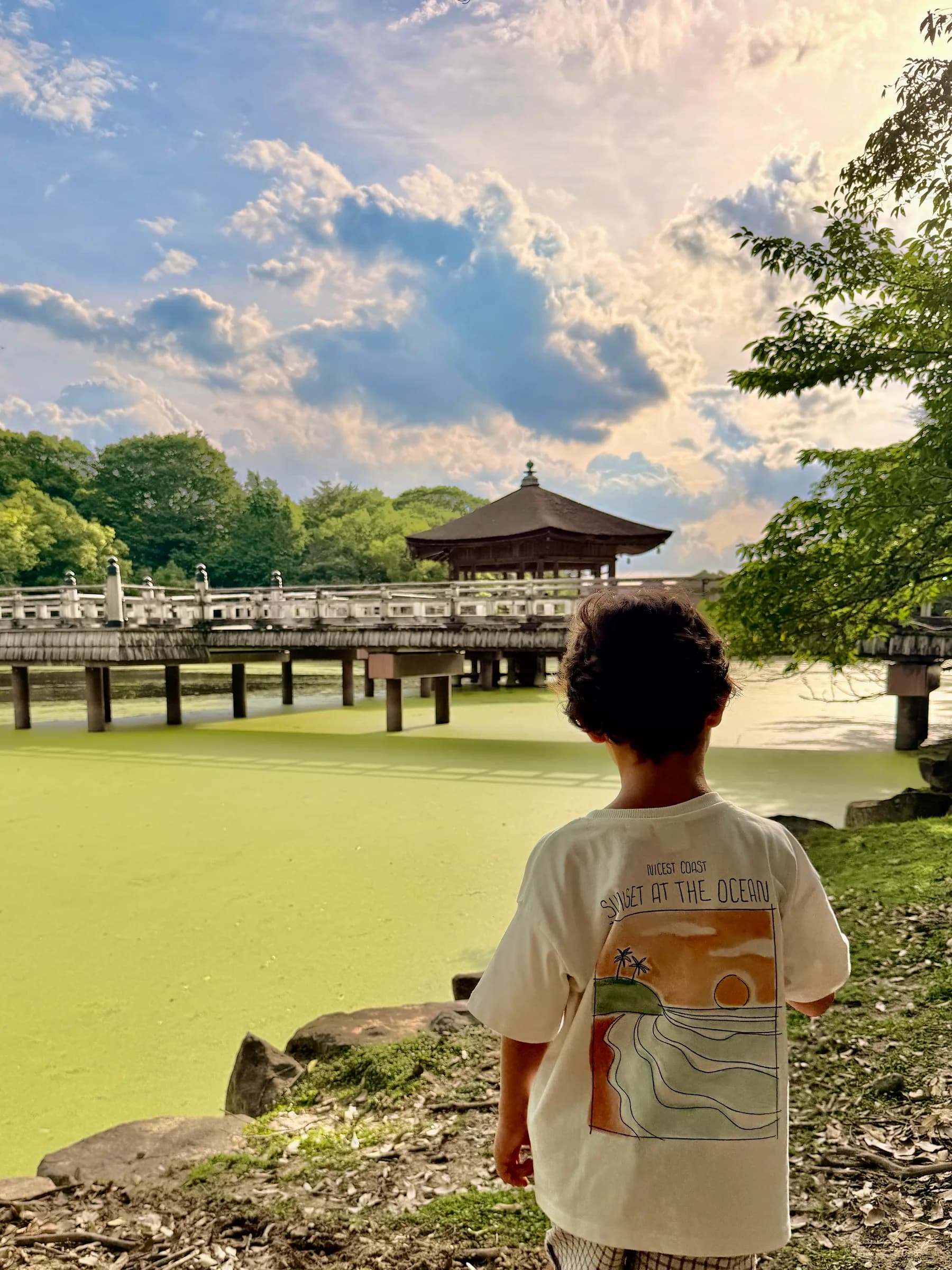 Nara Walking Tour: World Heritage, Sacred Deer, Ancient Forest and Old Town