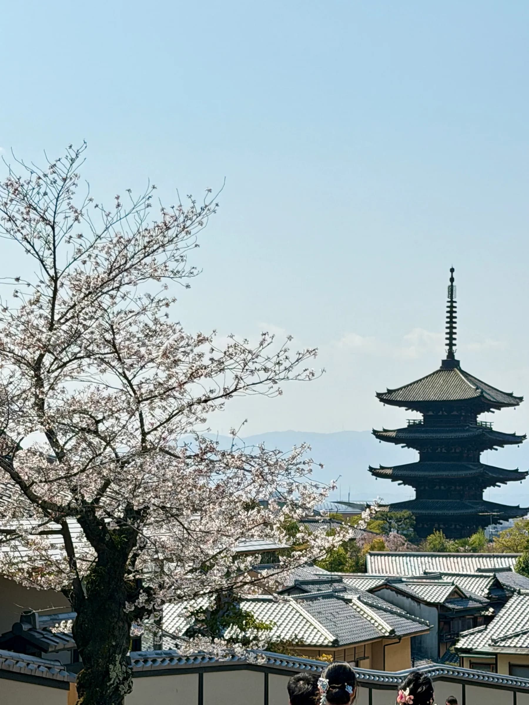 Gion et Higashiyama à vélo : l'introduction idéale à Kyoto