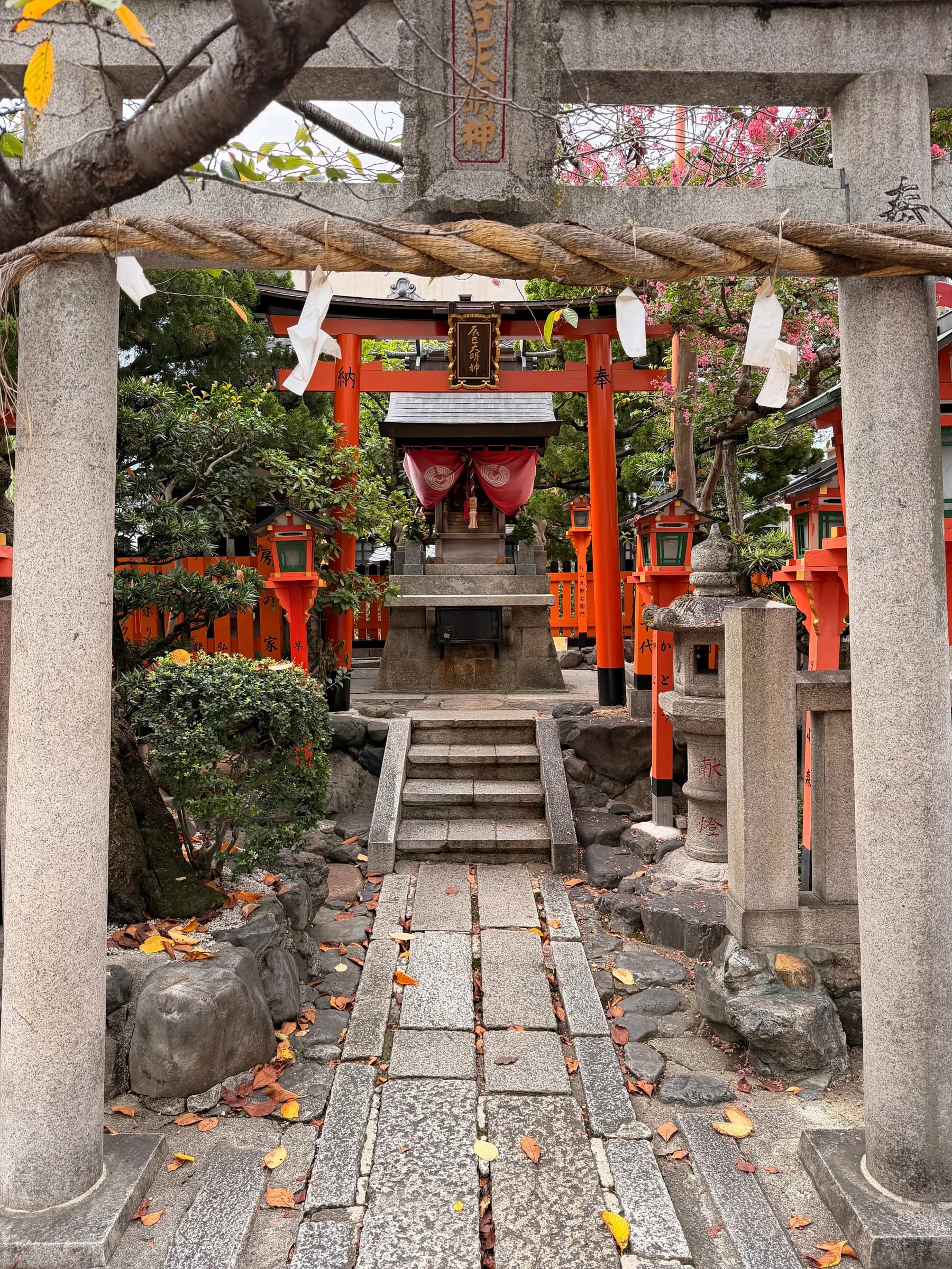 Gion et Higashiyama à vélo : l'introduction idéale à Kyoto