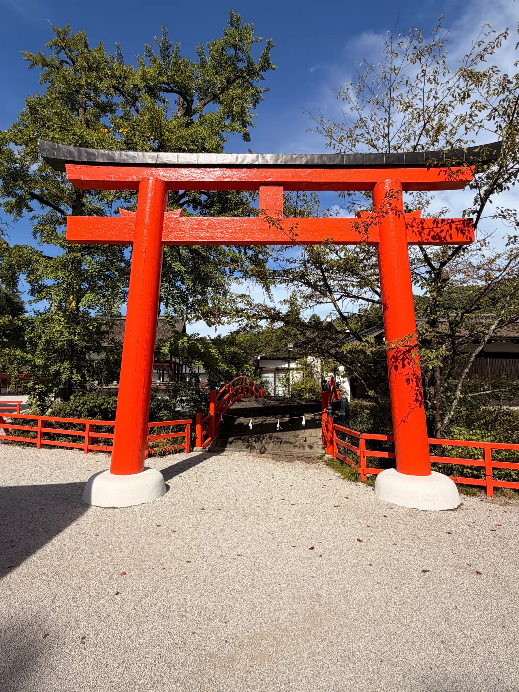 De Gion au Pavillon d'argent à vélo : tout l'est de Kyoto en une journée