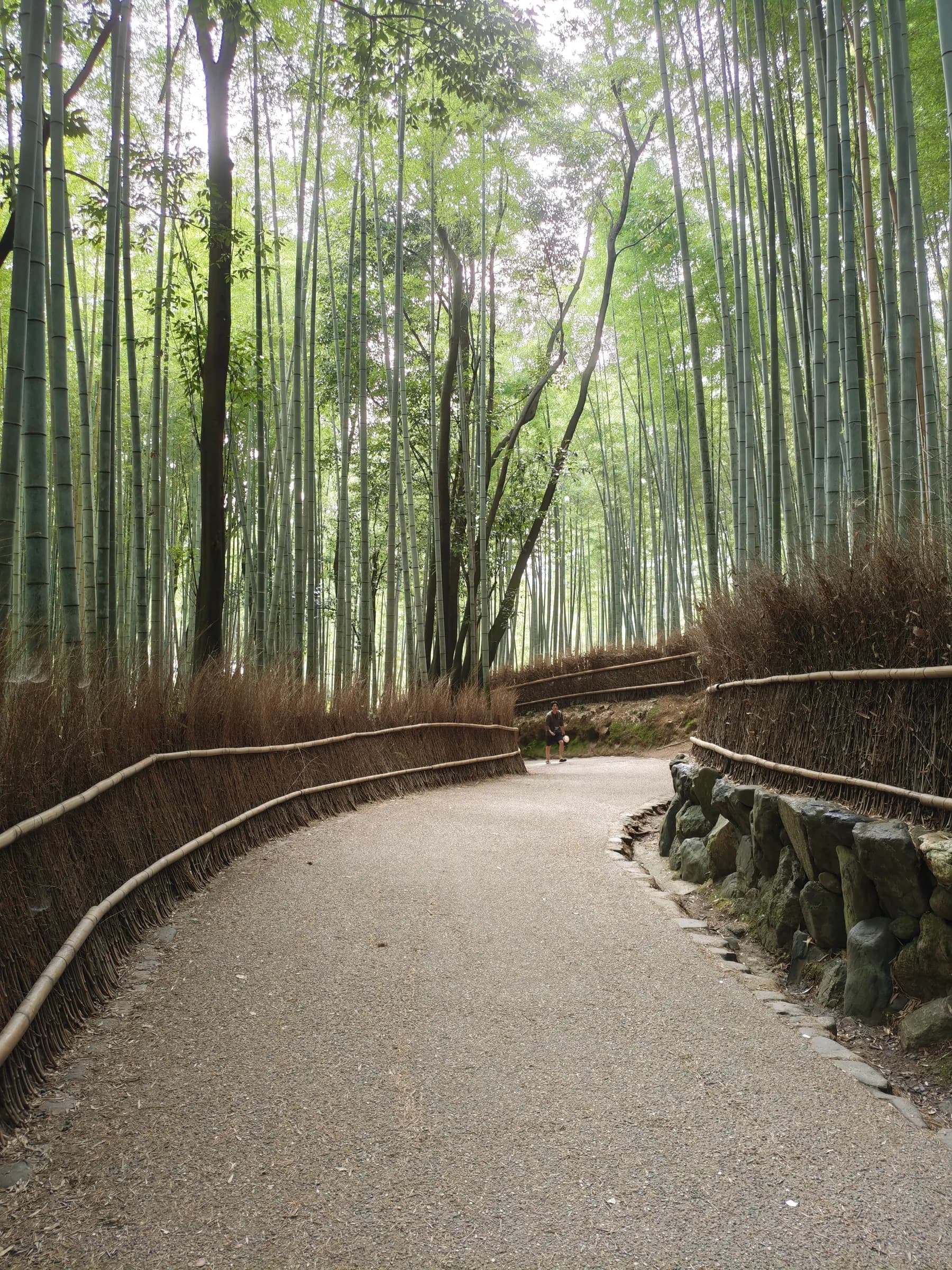 Arashiyama et Sagano à pied: des sanctuaires insolites aux eaux impériales