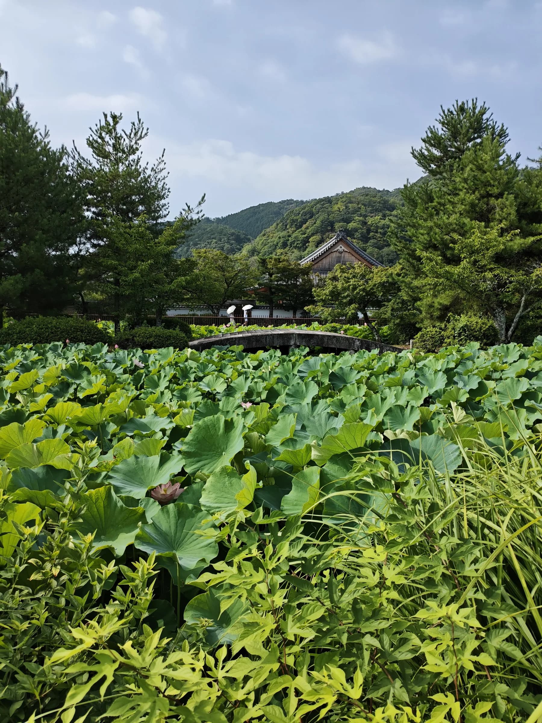 Arashiyama et Sagano à pied: des sanctuaires insolites aux eaux impériales