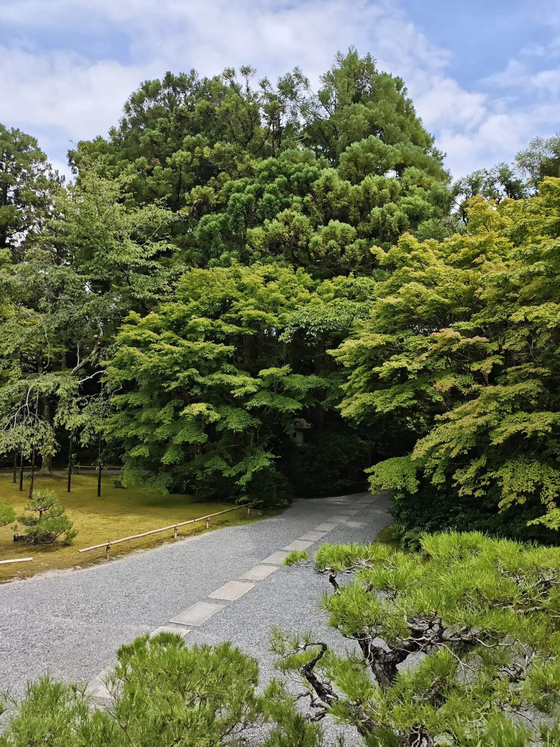 Arashiyama et Sagano à pied: des sanctuaires insolites aux eaux impériales