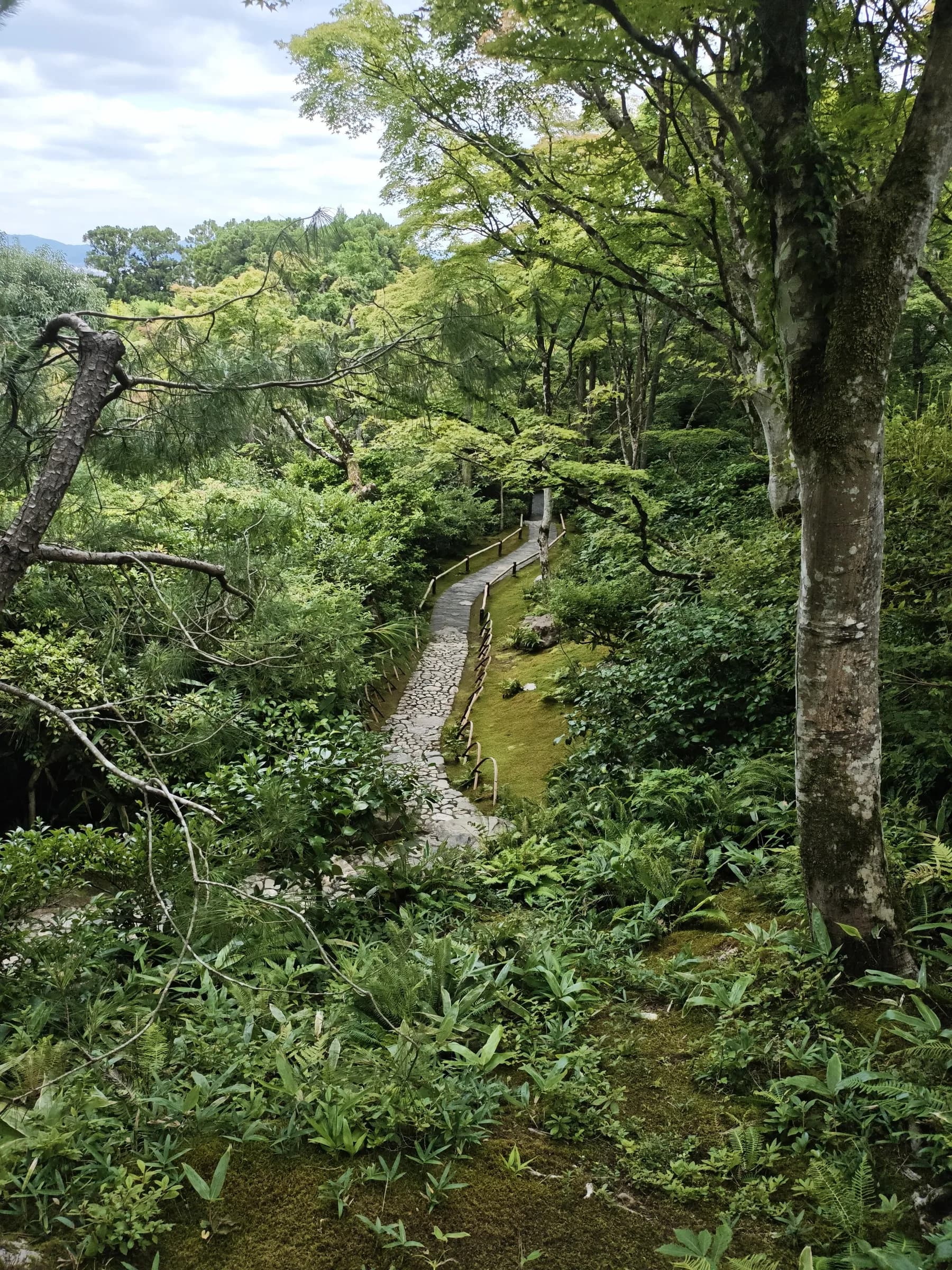 Arashiyama et Sagano à pied: des sanctuaires insolites aux eaux impériales
