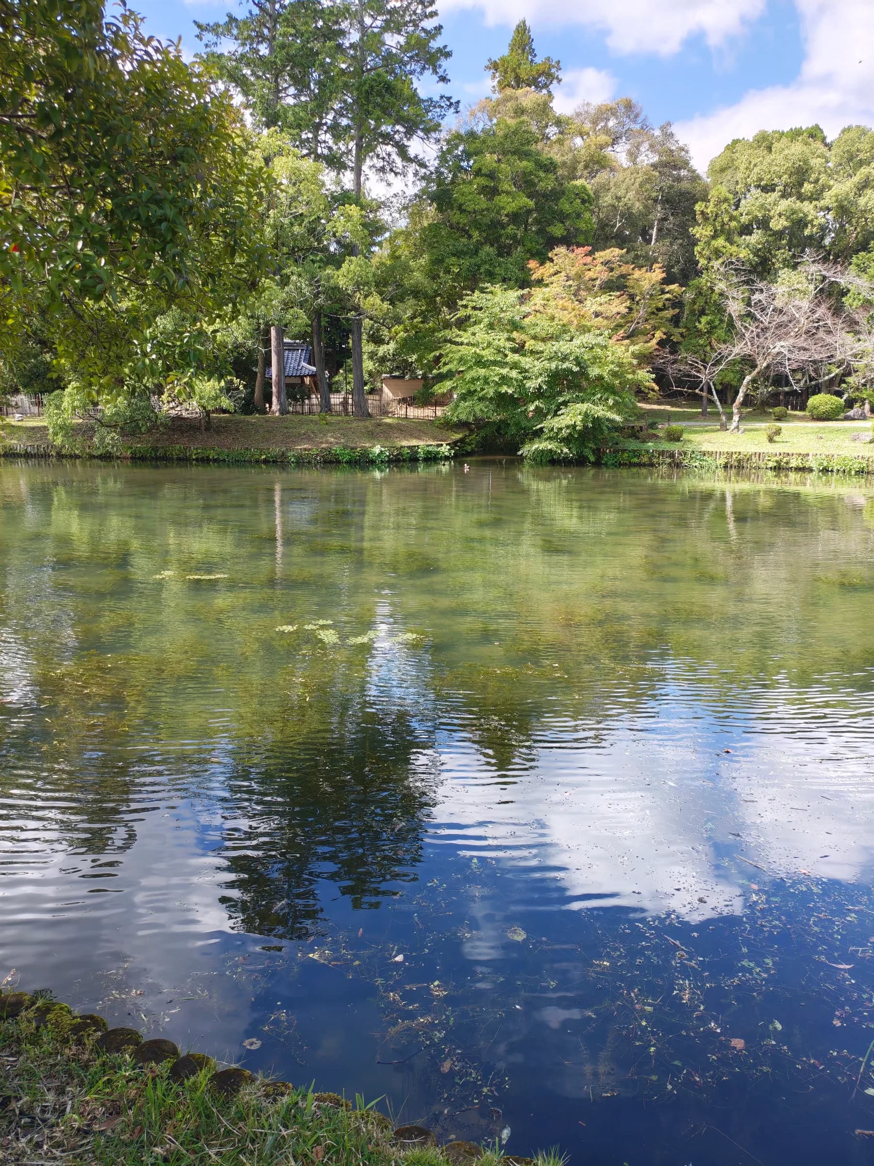 Arashiyama et Sagano à pied: des sanctuaires insolites aux eaux impériales