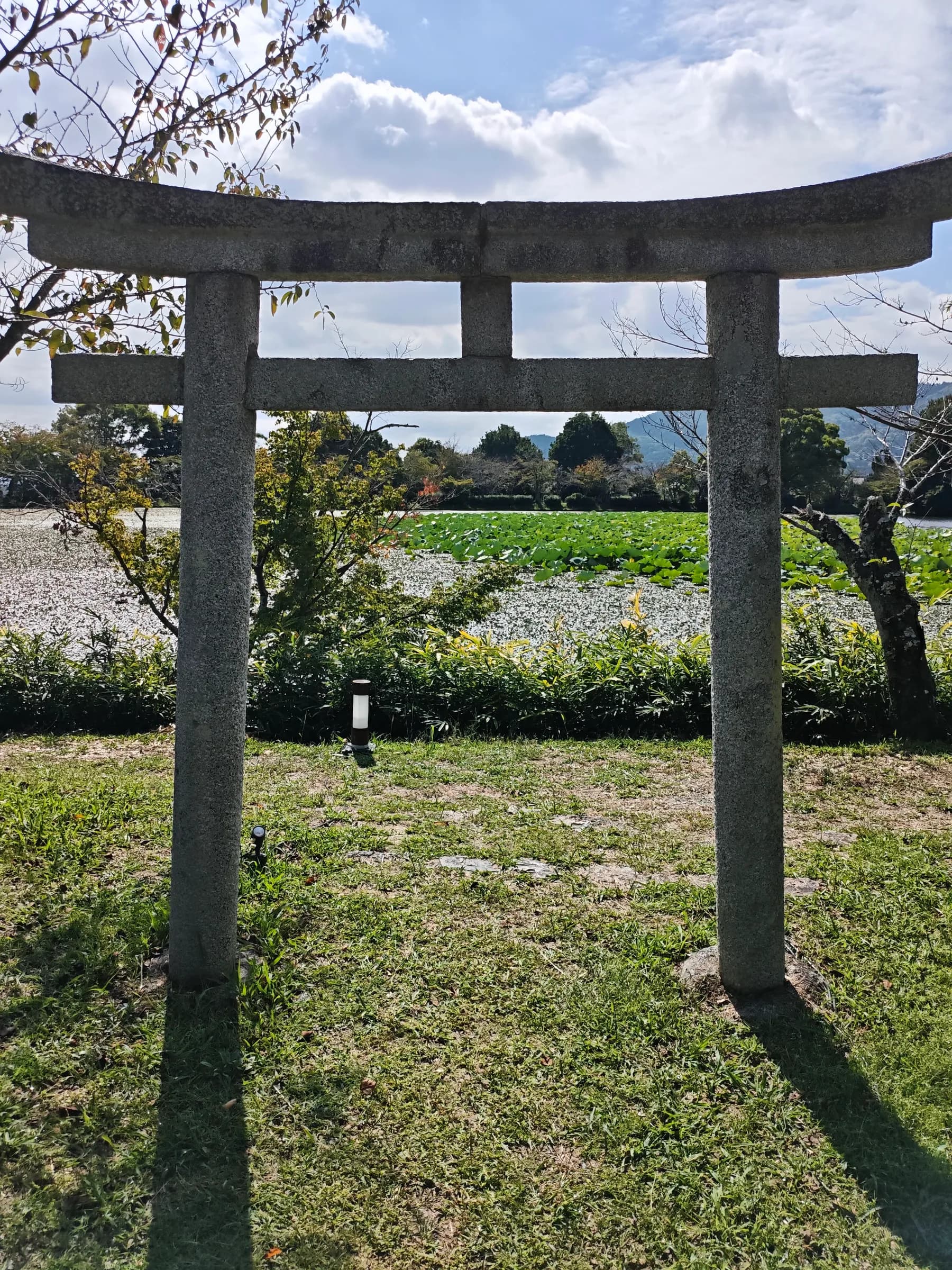 Arashiyama et Sagano à pied: des sanctuaires insolites aux eaux impériales