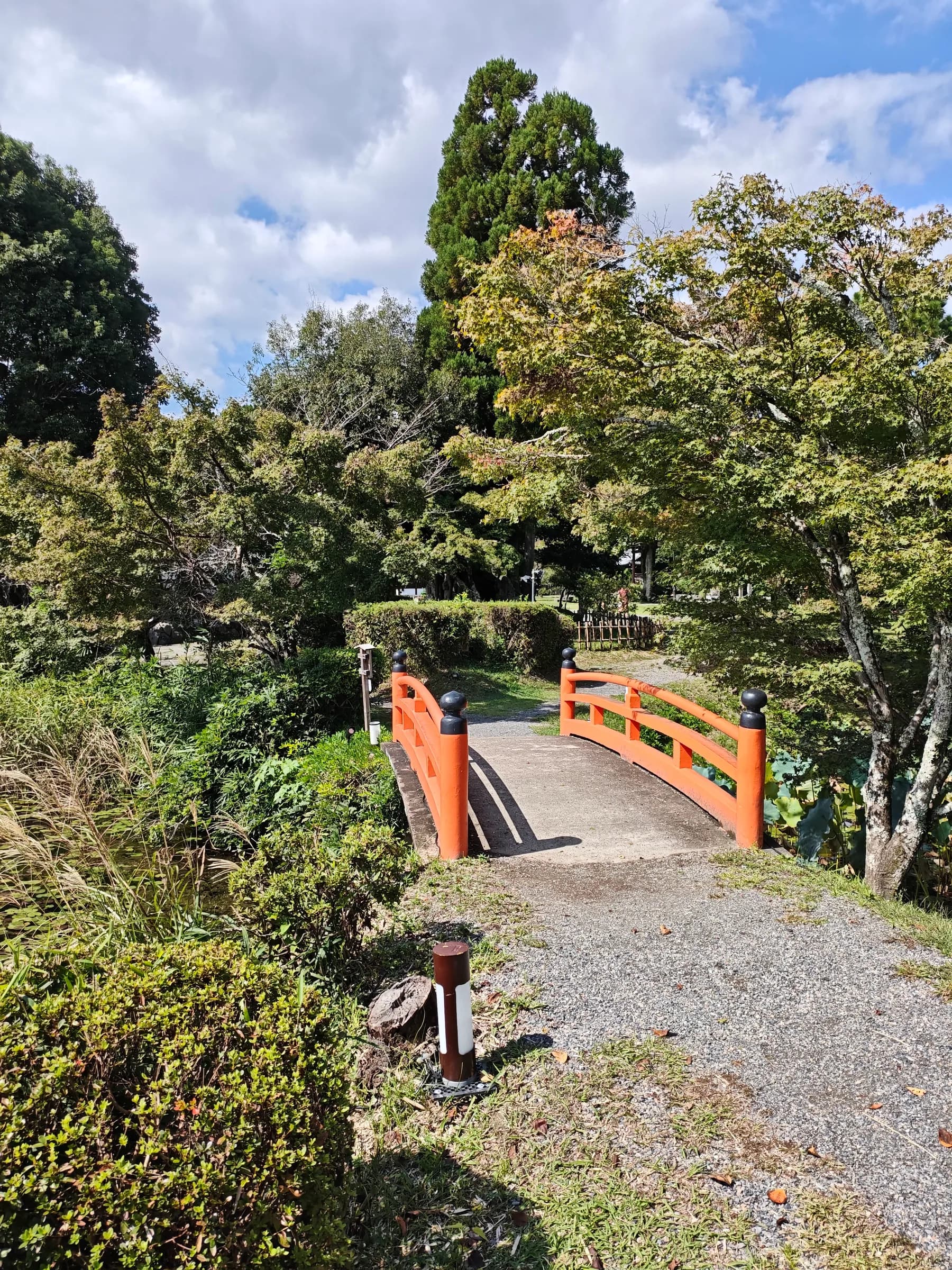 Arashiyama et Sagano à pied: des sanctuaires insolites aux eaux impériales