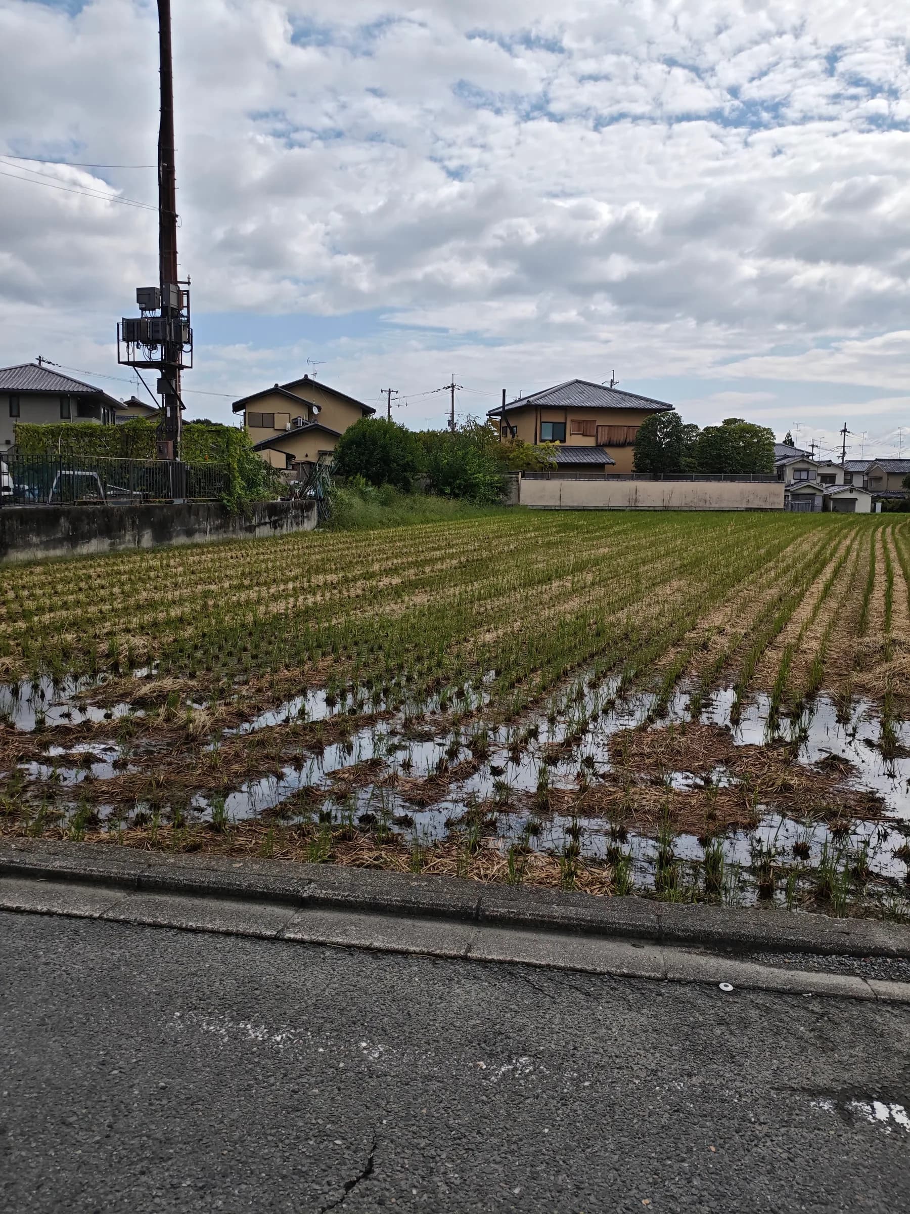 Arashiyama et Sagano à pied: des sanctuaires insolites aux eaux impériales