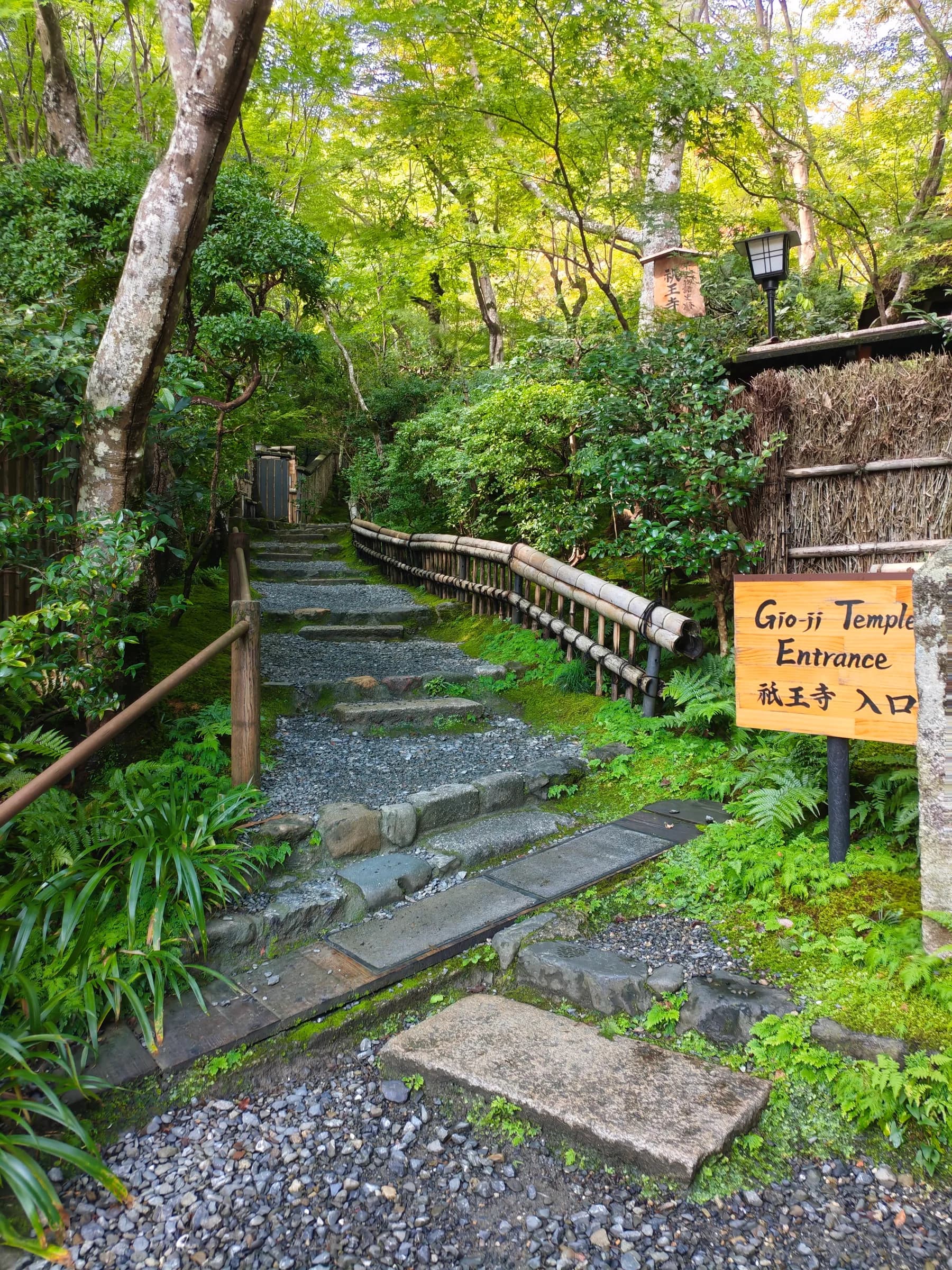 Arashiyama et Sagano à pied: des sanctuaires insolites aux eaux impériales