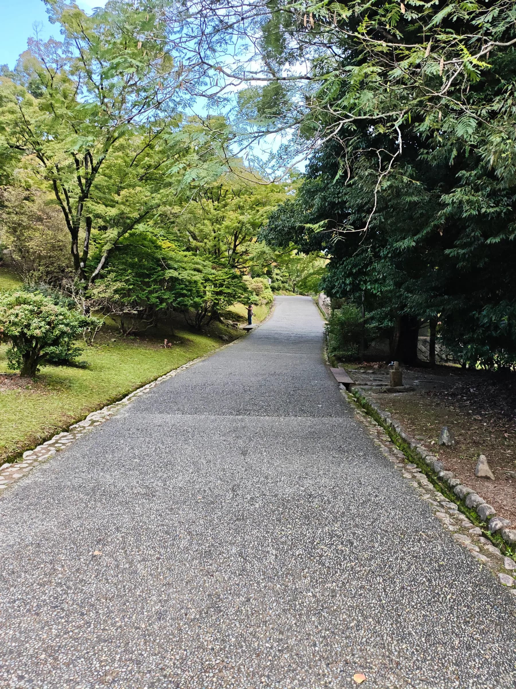 Arashiyama et Sagano à pied: des sanctuaires insolites aux eaux impériales