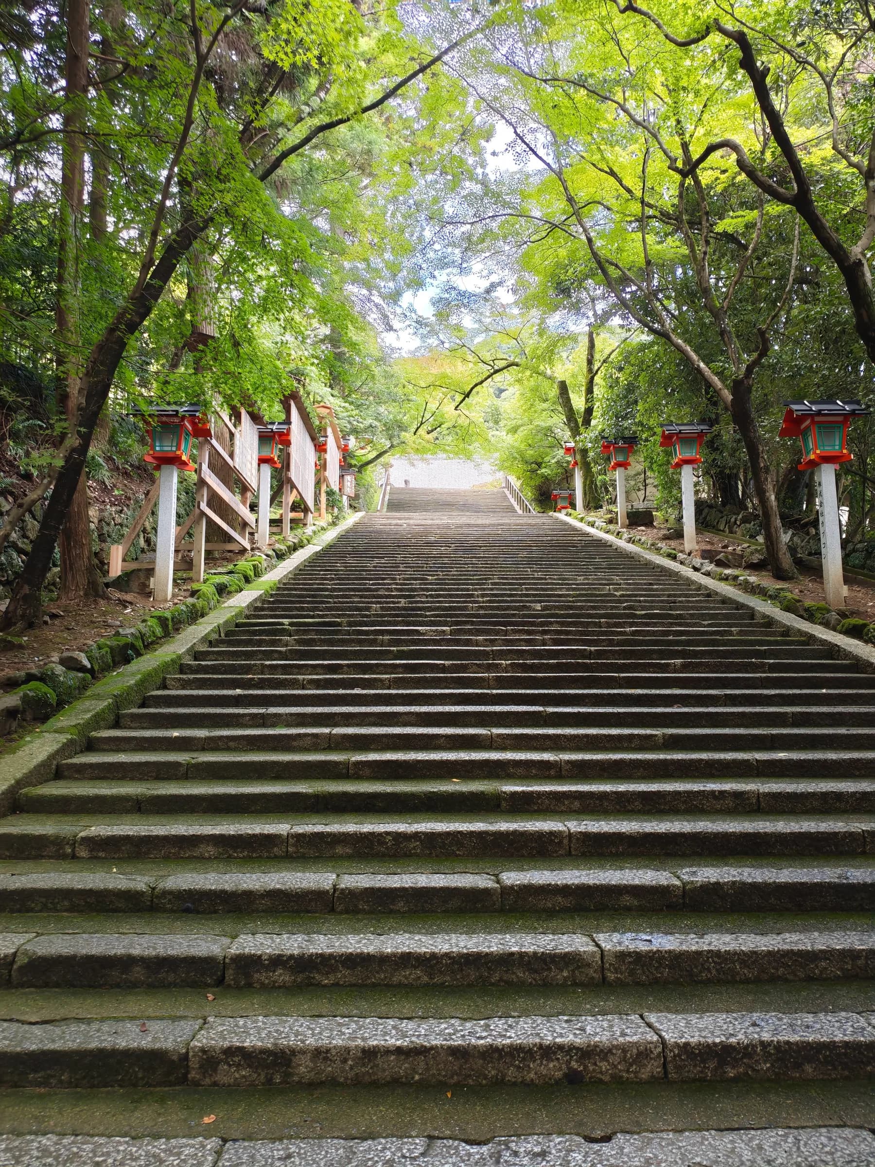 Arashiyama et Sagano à pied: des sanctuaires insolites aux eaux impériales