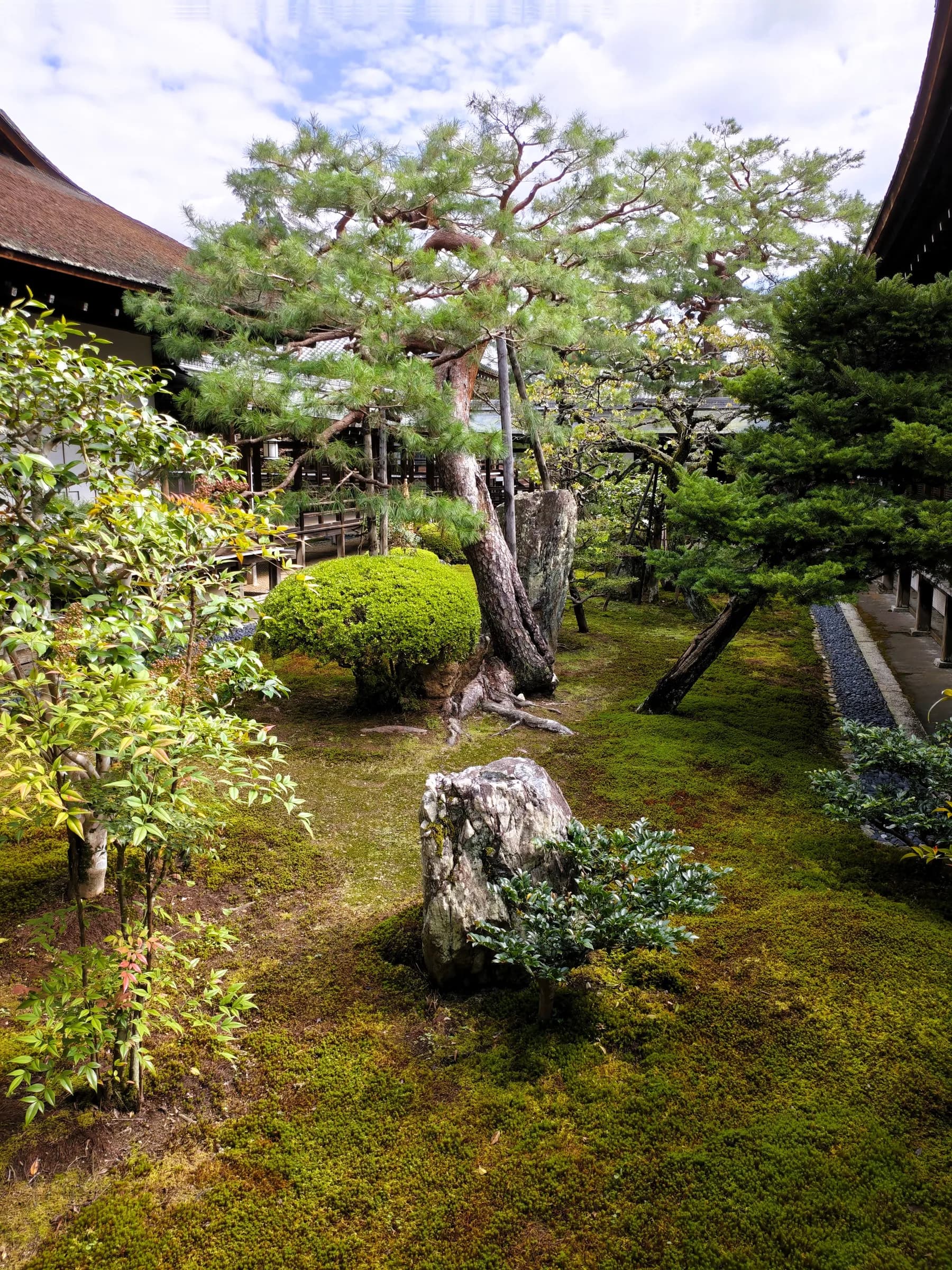 Arashiyama et Sagano à pied: des sanctuaires insolites aux eaux impériales