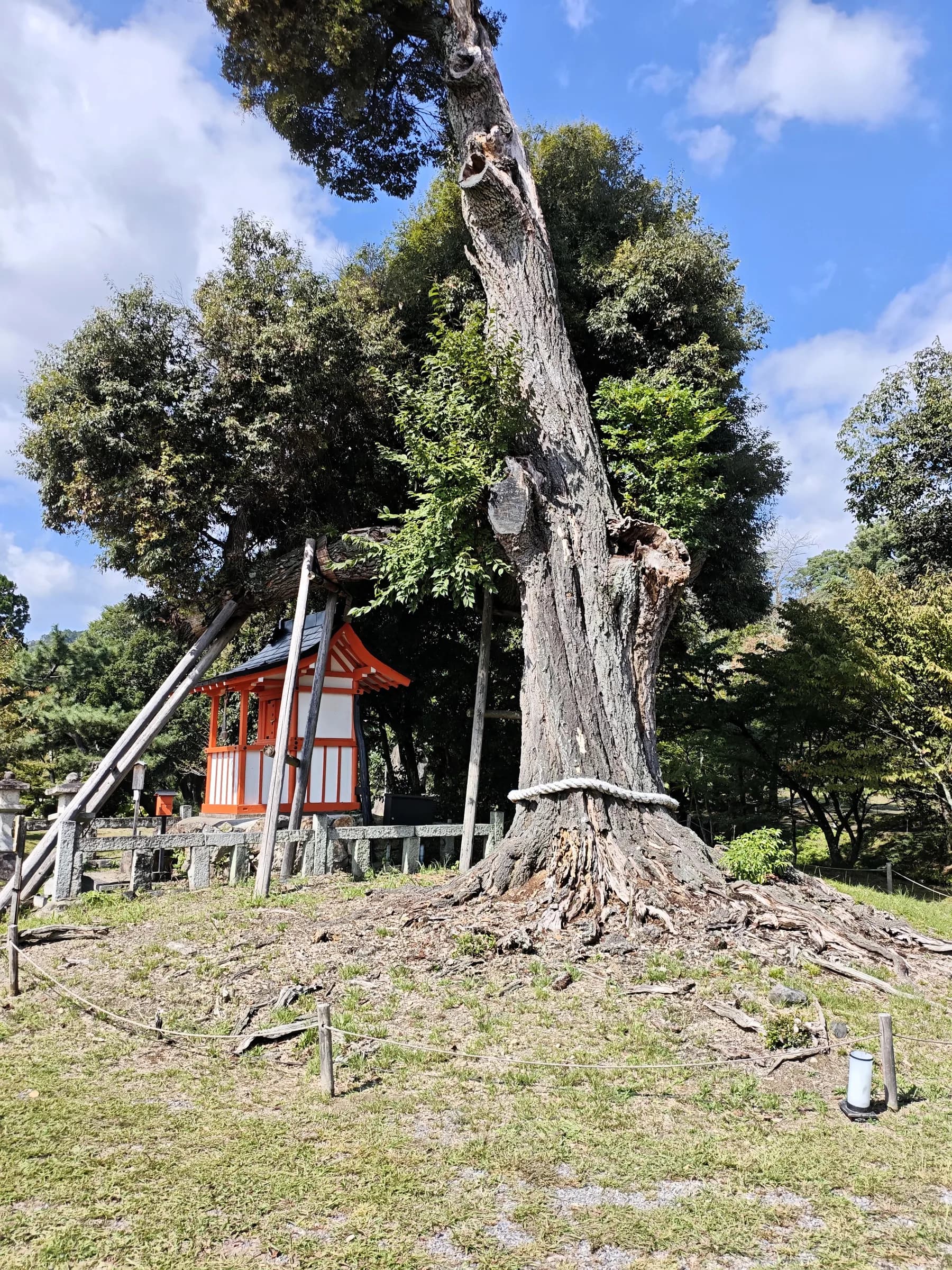 Arashiyama et Sagano à pied: des sanctuaires insolites aux eaux impériales