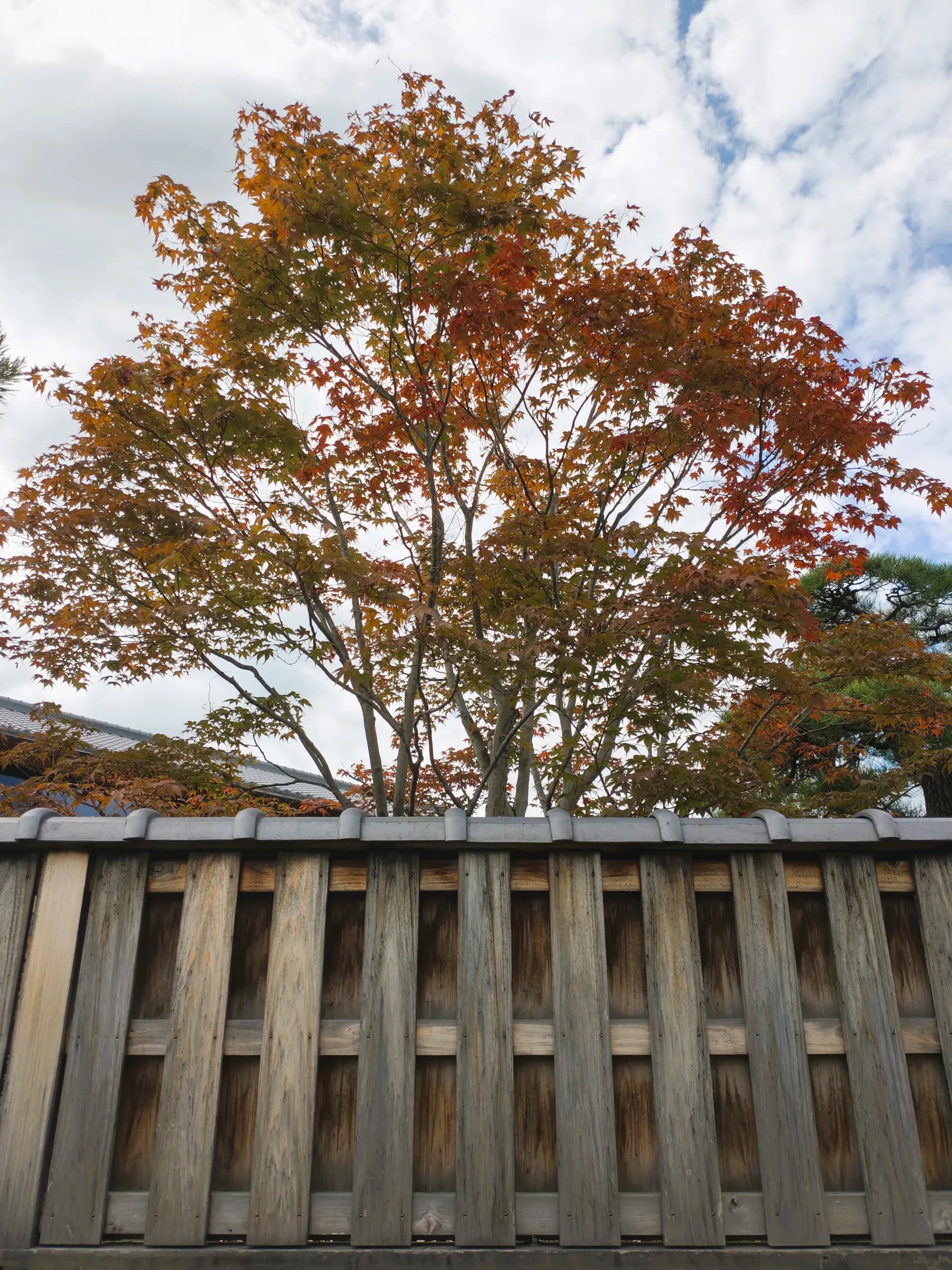 Arashiyama et Sagano à pied: des sanctuaires insolites aux eaux impériales