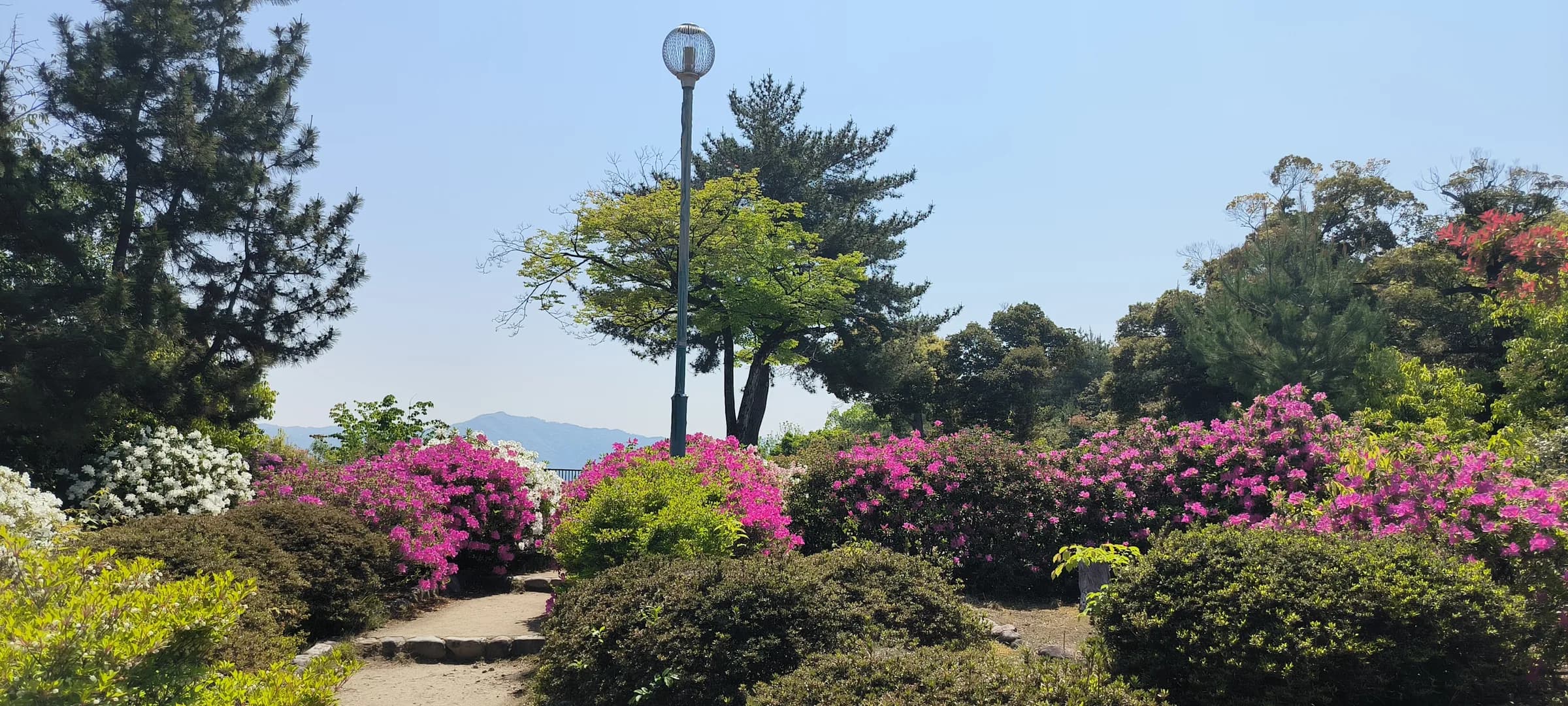 Pavillon d'or à vélo : berges de la Kamo, jardins zen et mochi grillés
