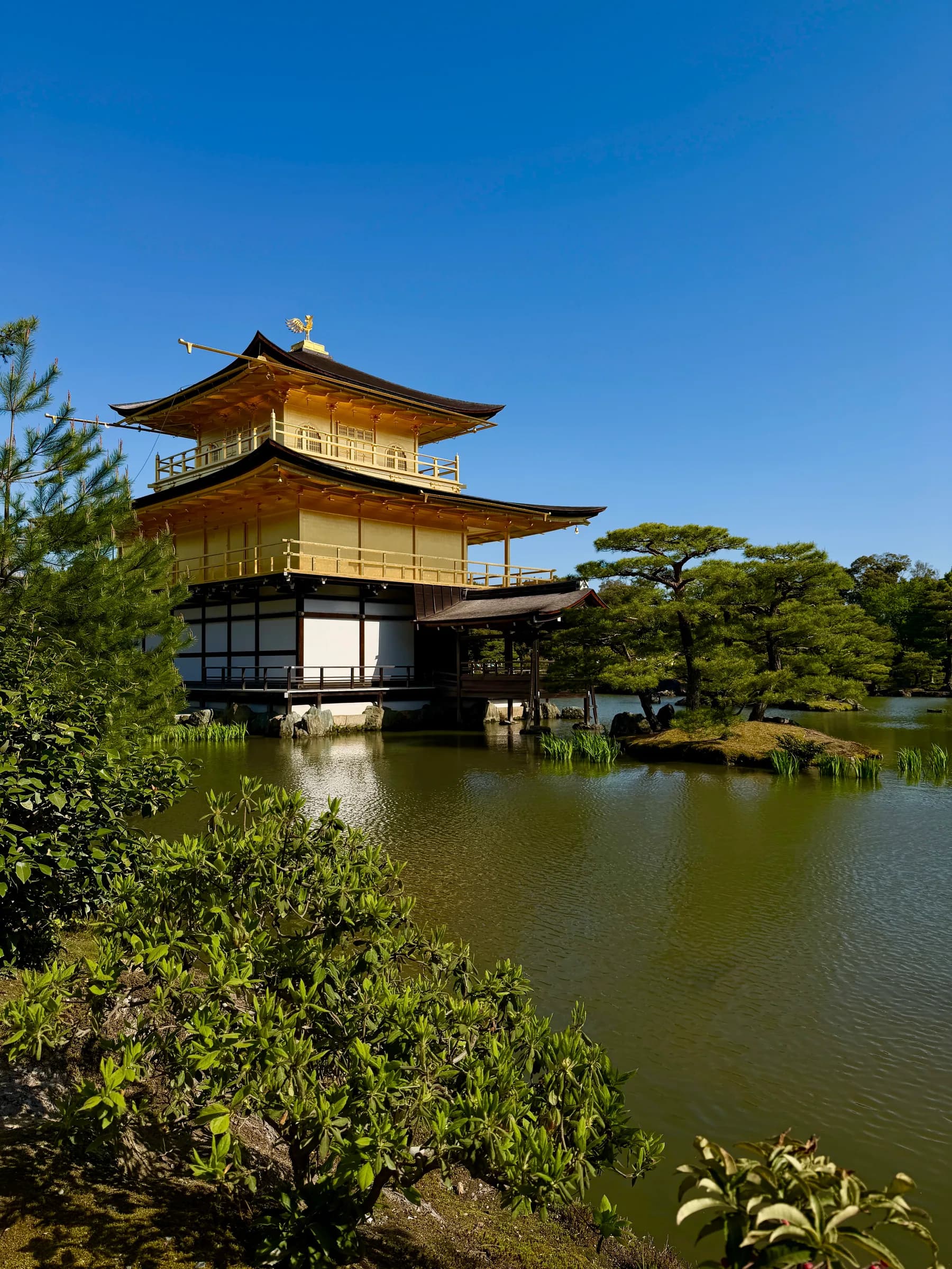 Pavillon d'or à vélo : berges de la Kamo, jardins zen et mochi grillés