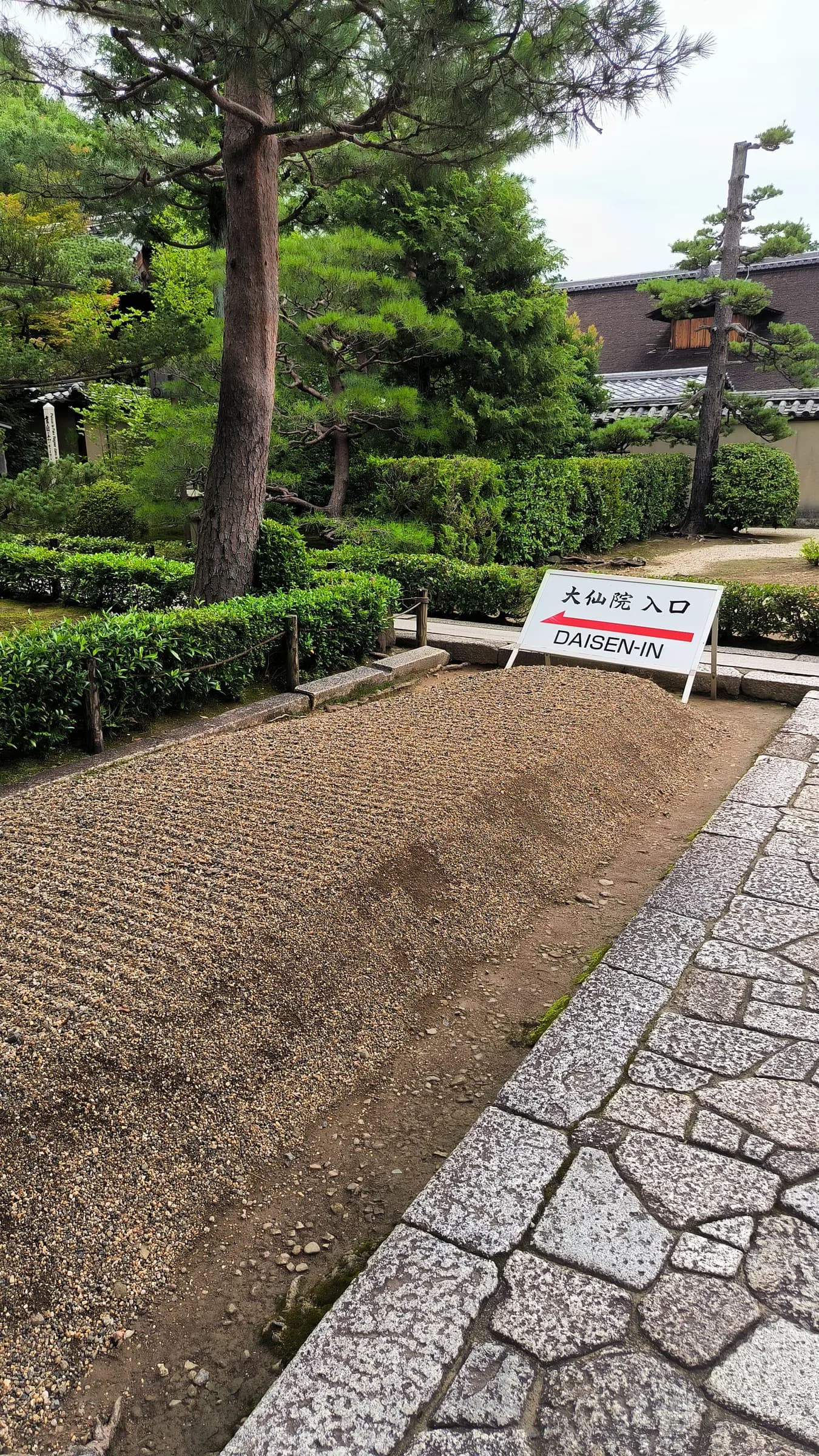 Pavillon d'or à vélo : berges de la Kamo, jardins zen et mochi grillés