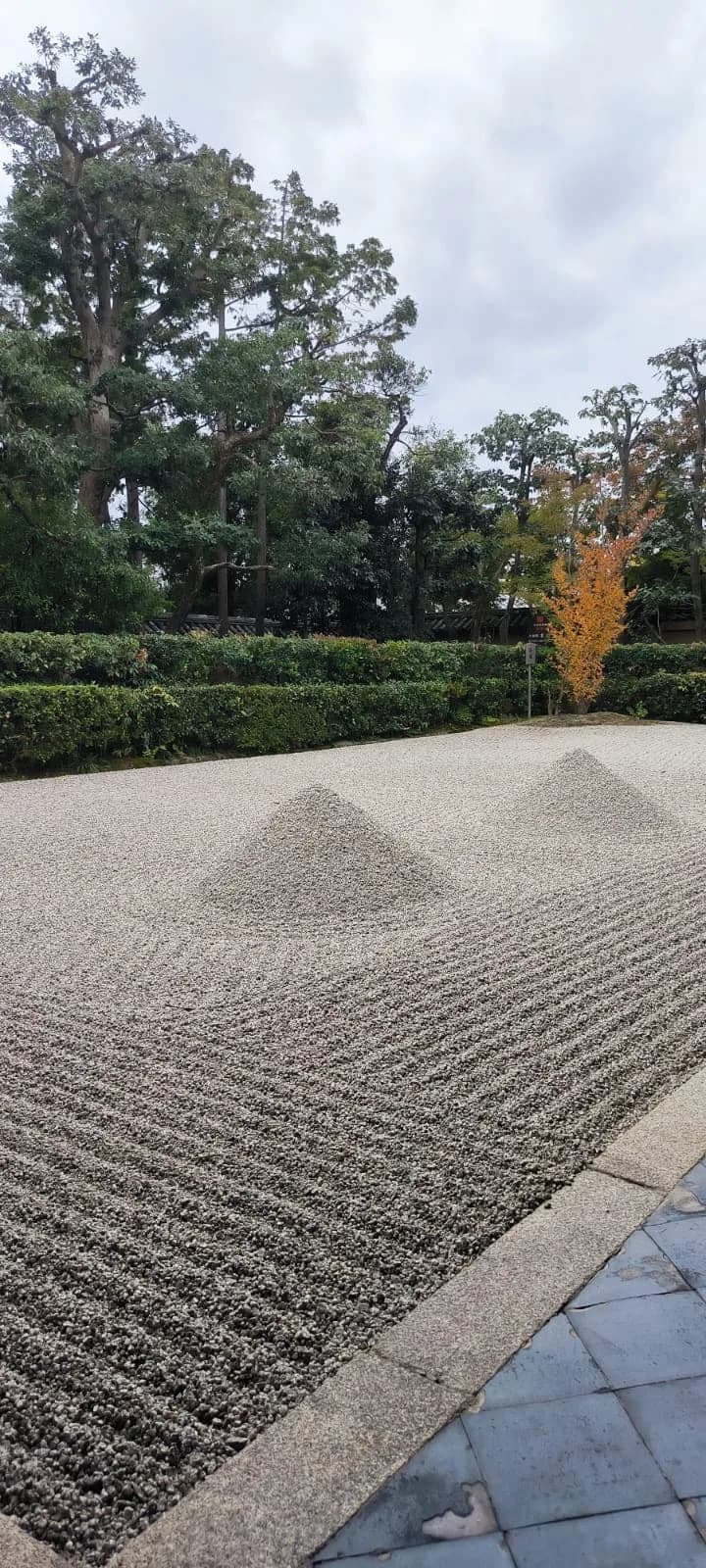 Pavillon d'or à vélo : berges de la Kamo, jardins zen et mochi grillés