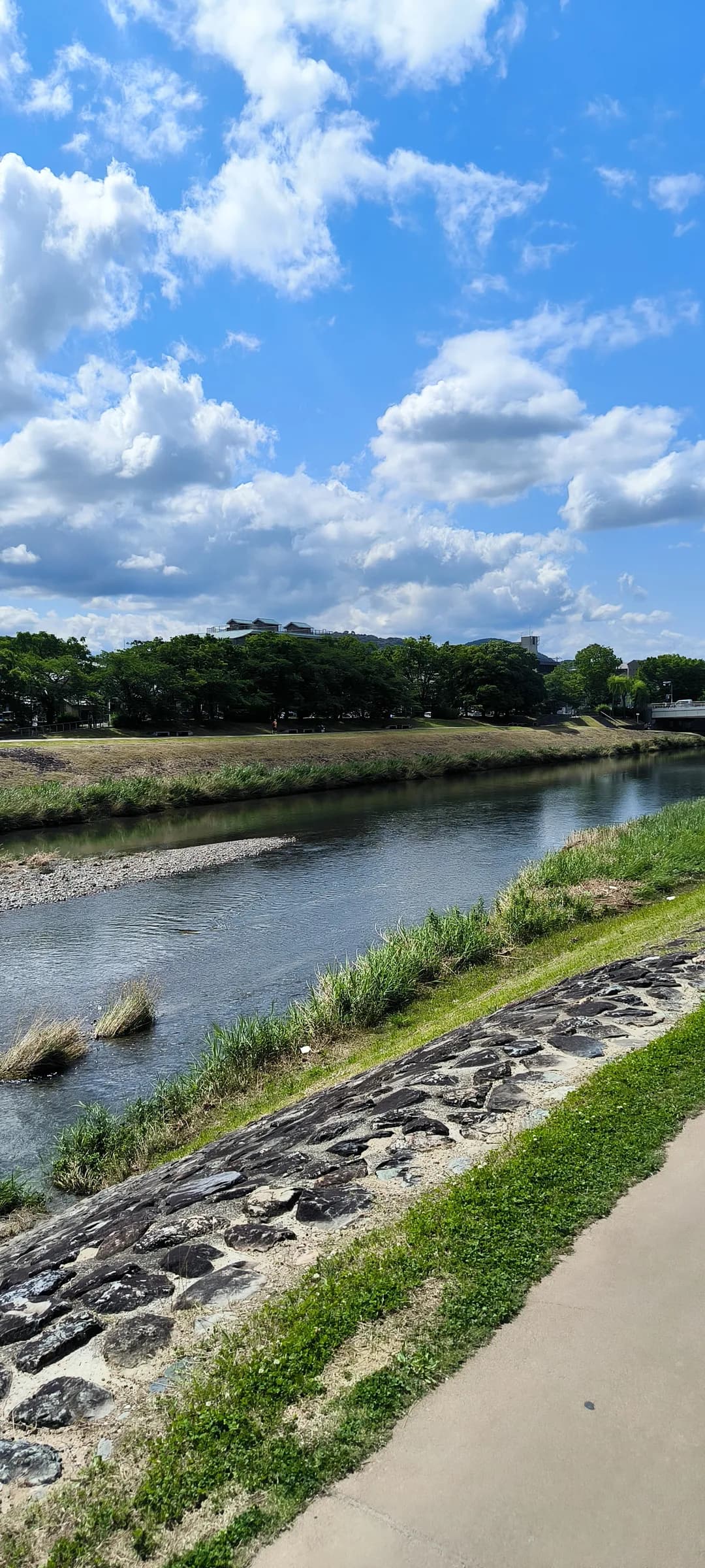 Pavillon d'or à vélo : berges de la Kamo, jardins zen et mochi grillés