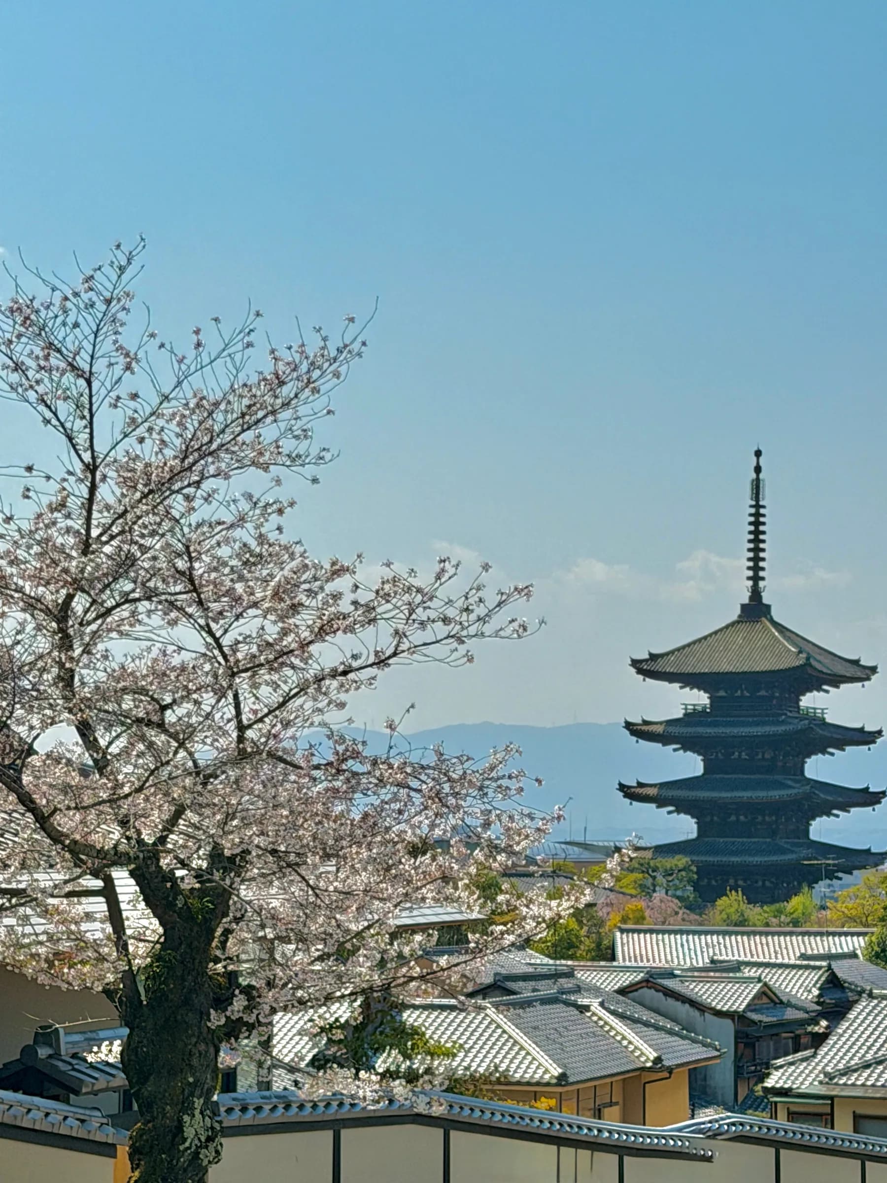 Kiyomizu-dera & Higashiyama at Dawn: Historic Alleys Before the Crowds