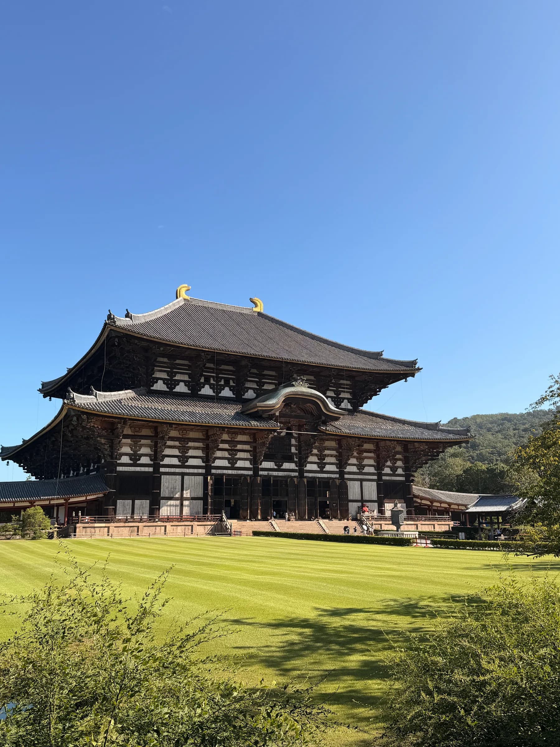 Nara en une matinée : cerfs sacrés, grand Bouddha et lanternes de Kasuga