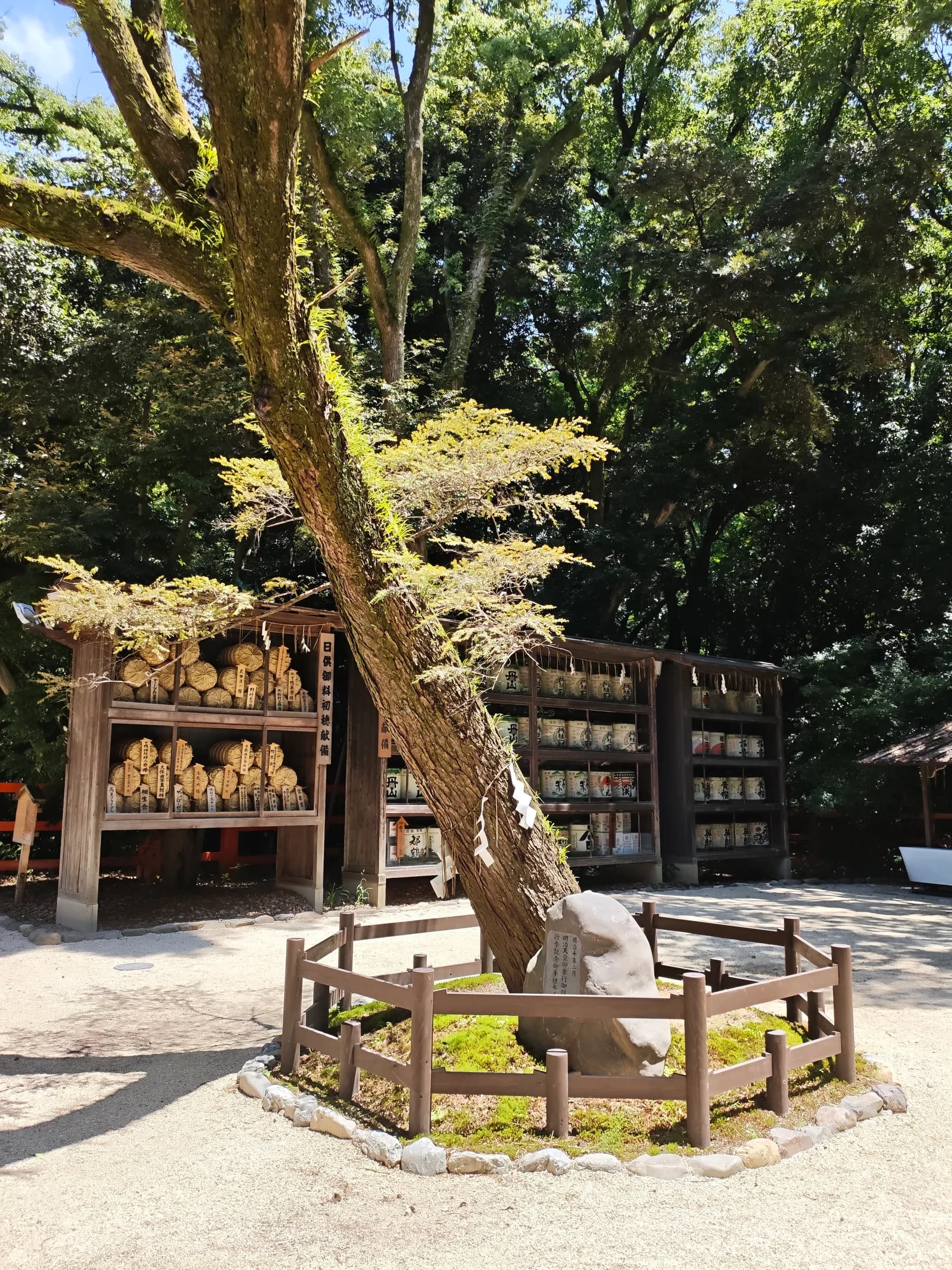 Nijo & Shimogamo Bike Tour: From Shogun Castle to Silk Weavers and Sacred Forest