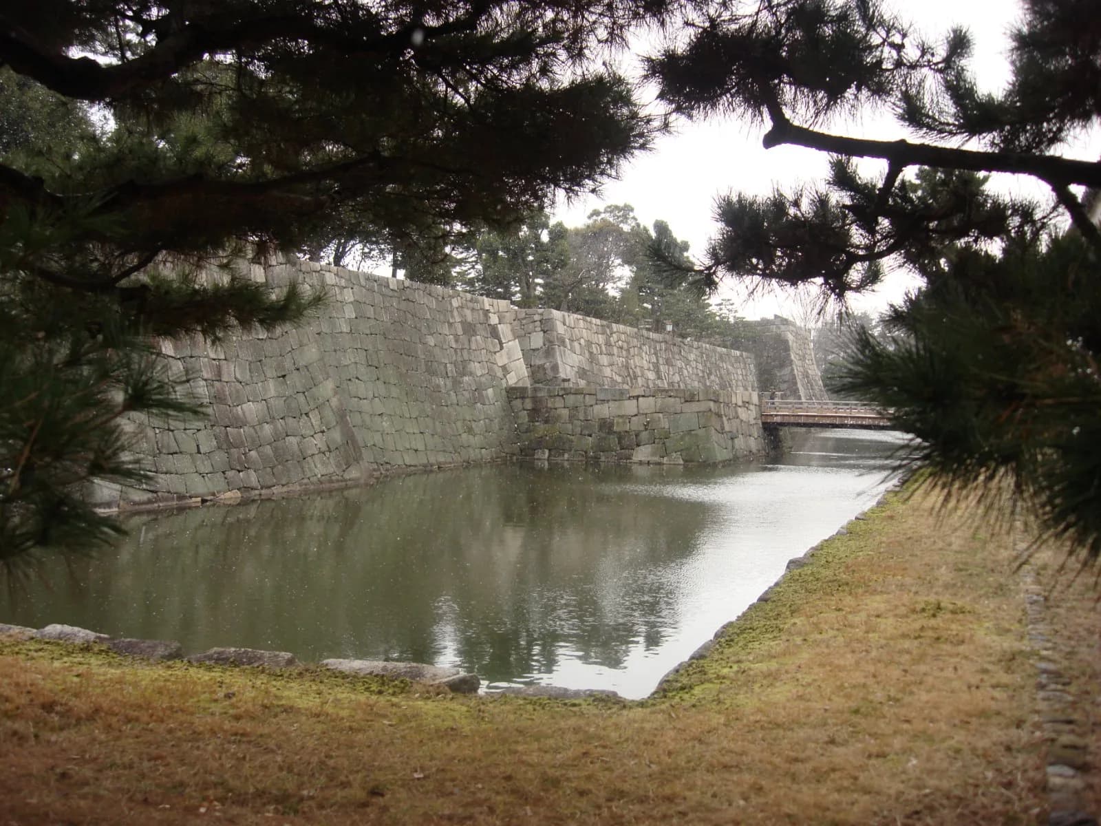 Nijo & Shimogamo Bike Tour: From Shogun Castle to Silk Weavers and Sacred Forest