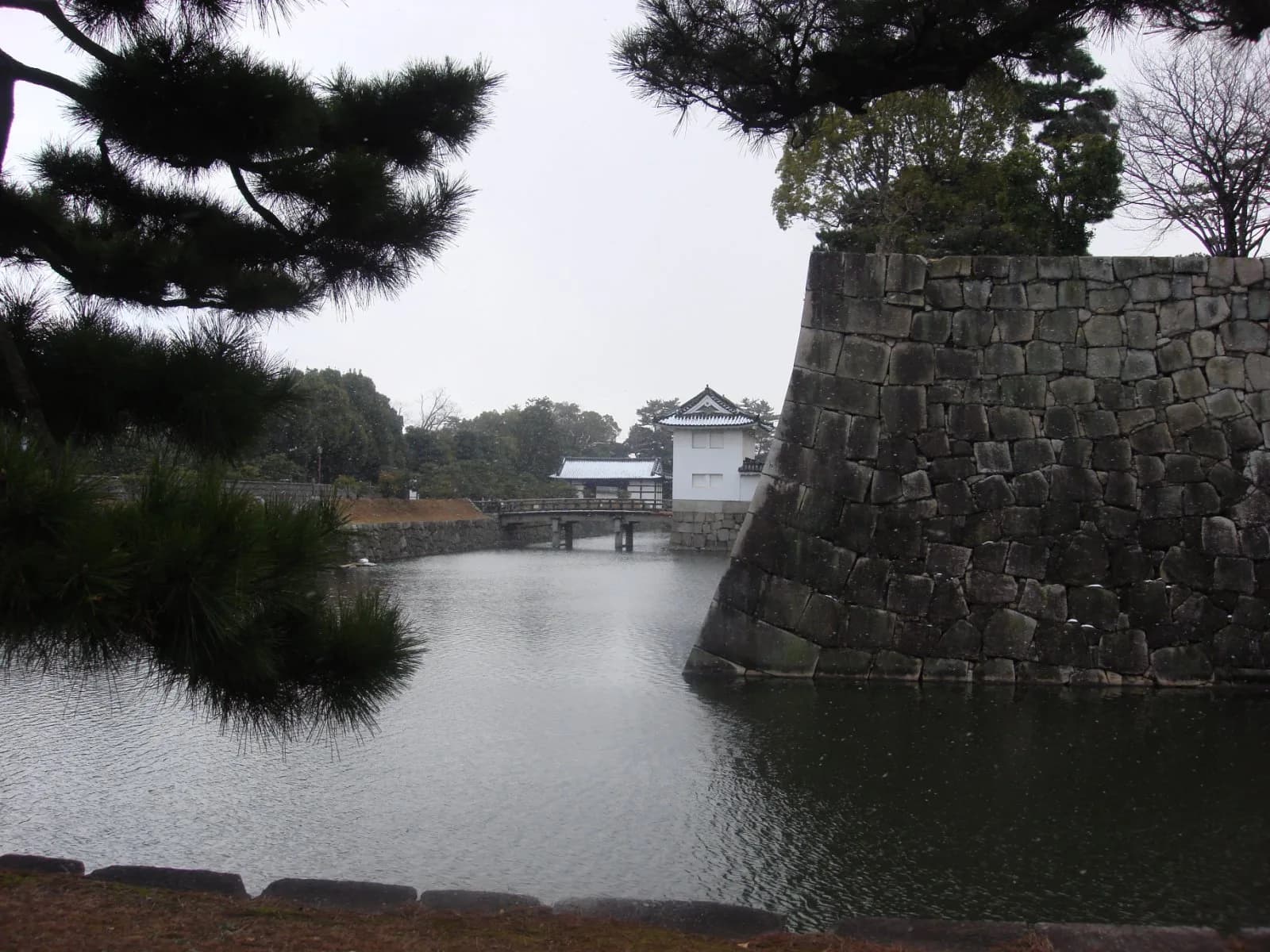 Nijo & Shimogamo Bike Tour: From Shogun Castle to Silk Weavers and Sacred Forest