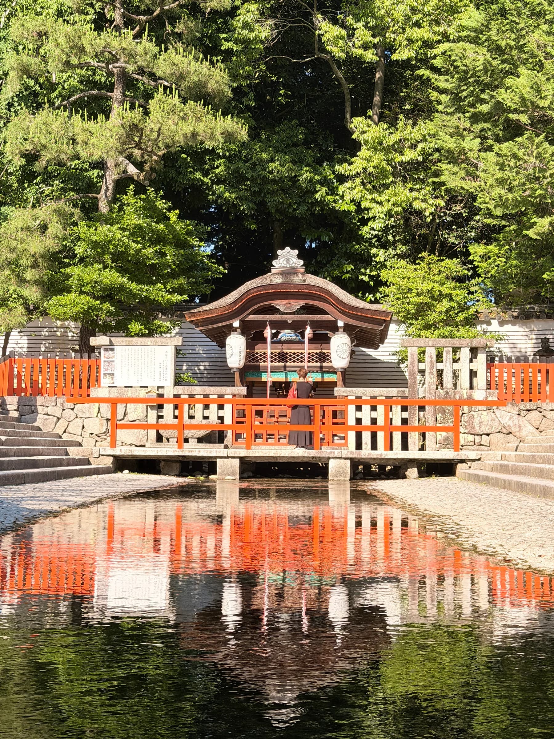 Nijo & Shimogamo Bike Tour: From Shogun Castle to Silk Weavers and Sacred Forest