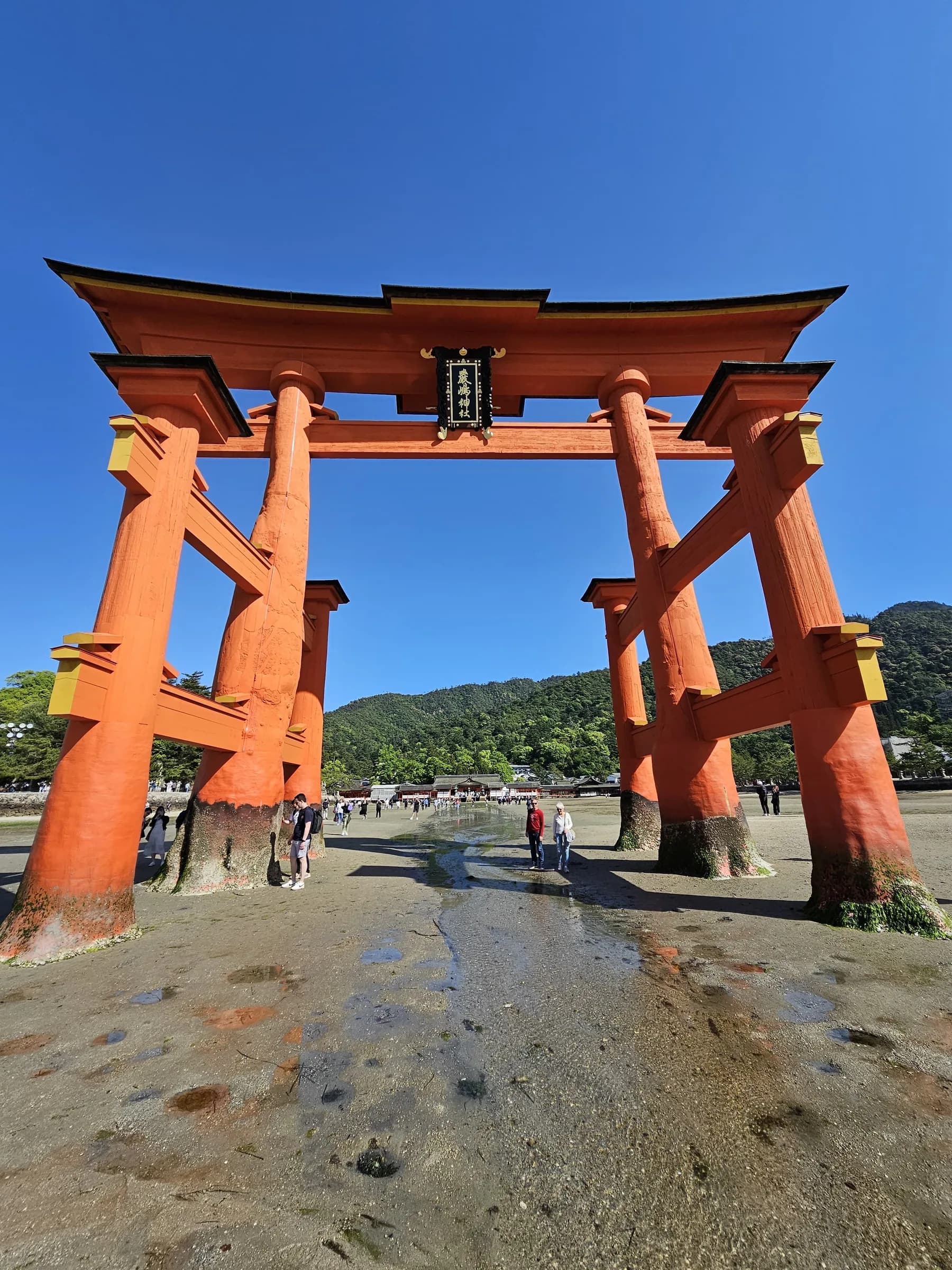 Hiroshima & Miyajima Day Trip: Floating Torii, Sacred Forests and Peace Memorial
