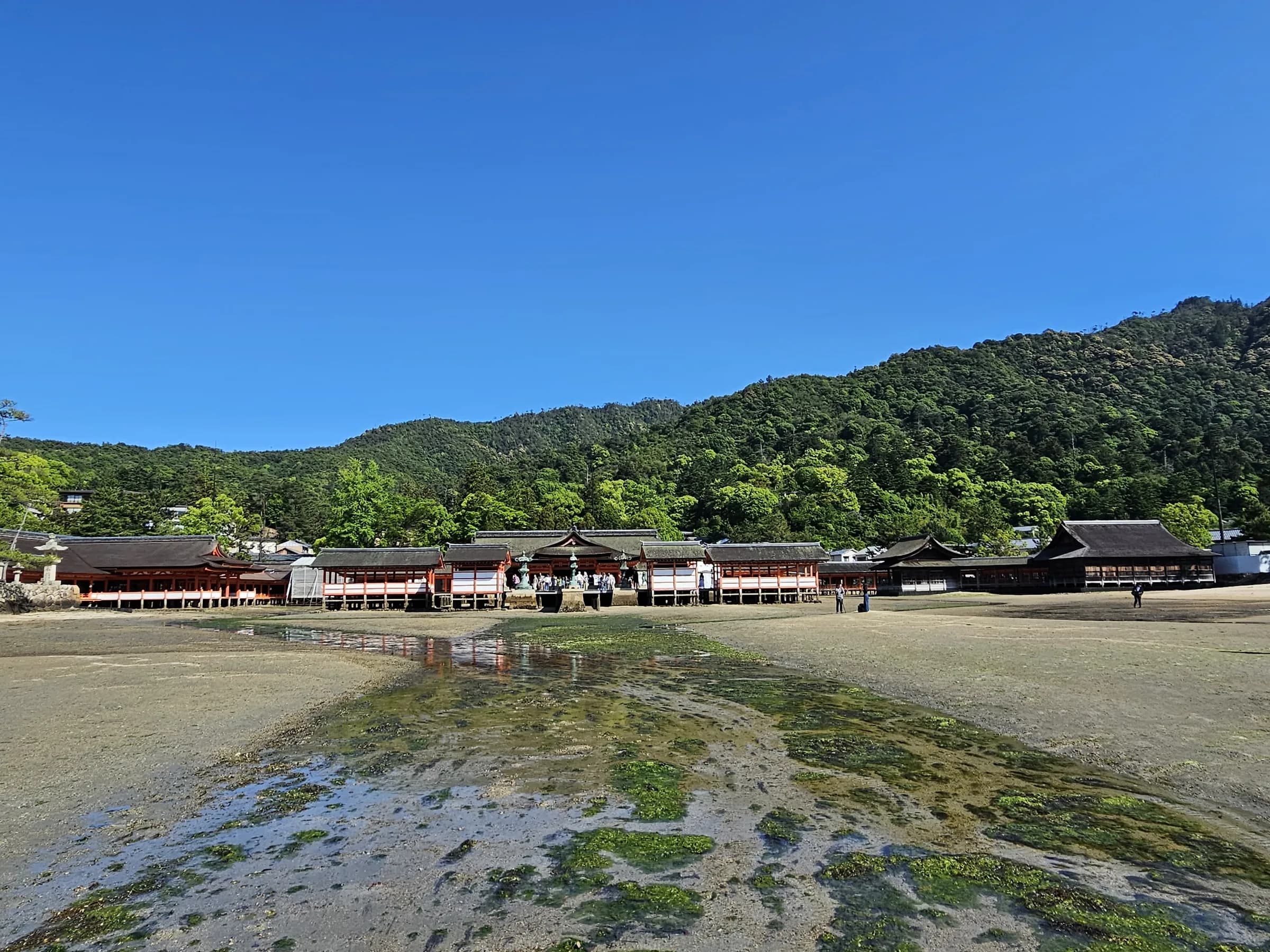 Hiroshima & Miyajima Day Trip: Floating Torii, Sacred Forests and Peace Memorial