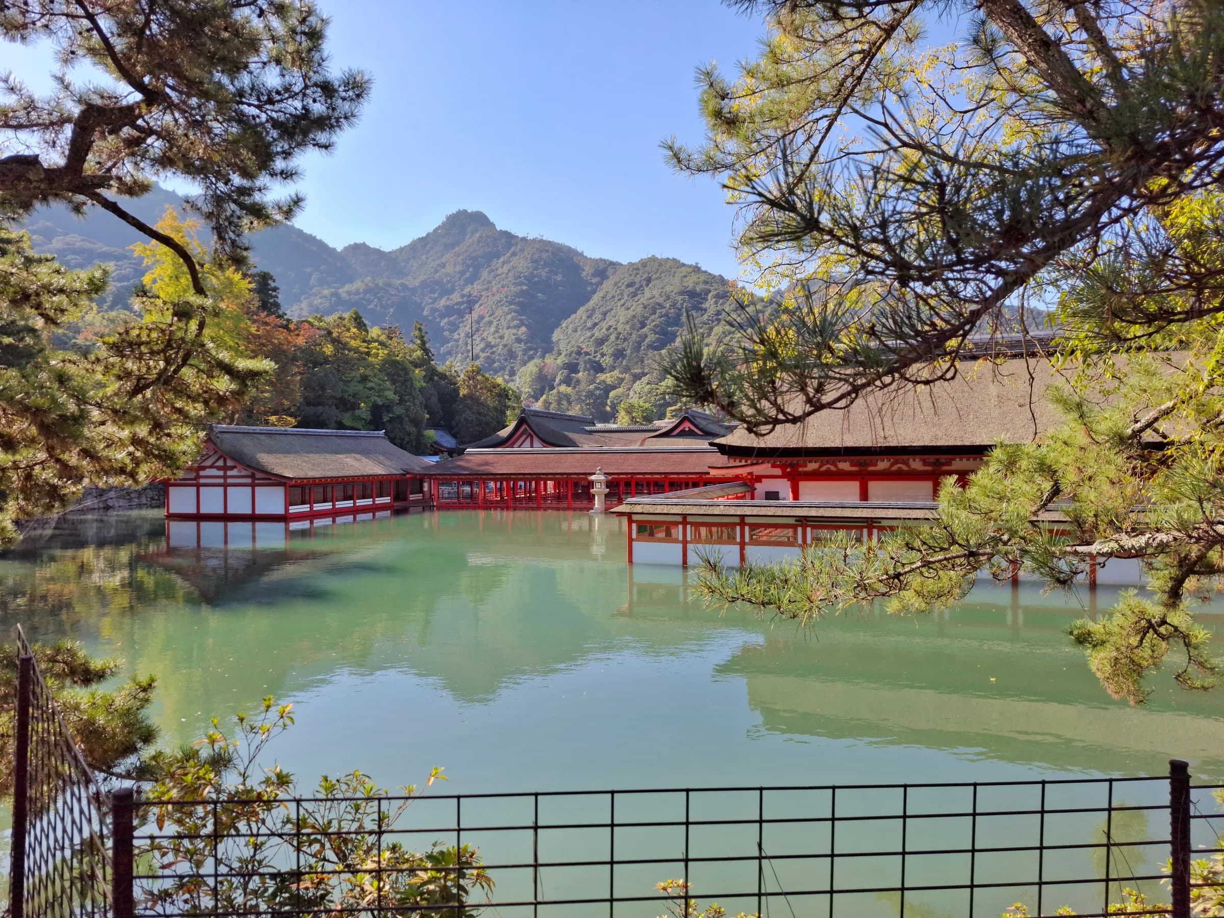 Hiroshima & Miyajima Day Trip: Floating Torii, Sacred Forests and Peace Memorial