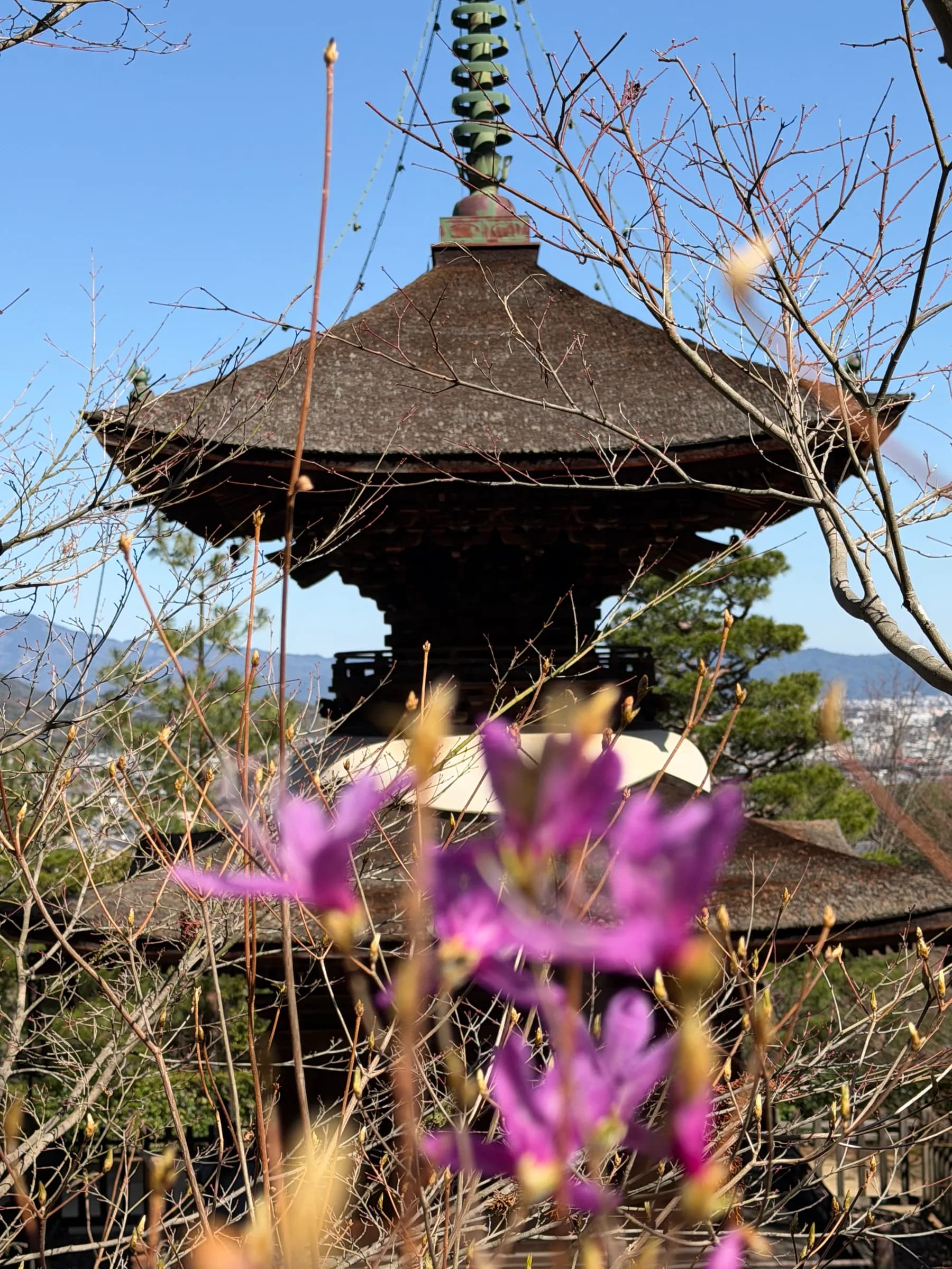 Nagaokakyo et Arashiyama à pied : sanctuaires oubliés, rivière et bambouseraie