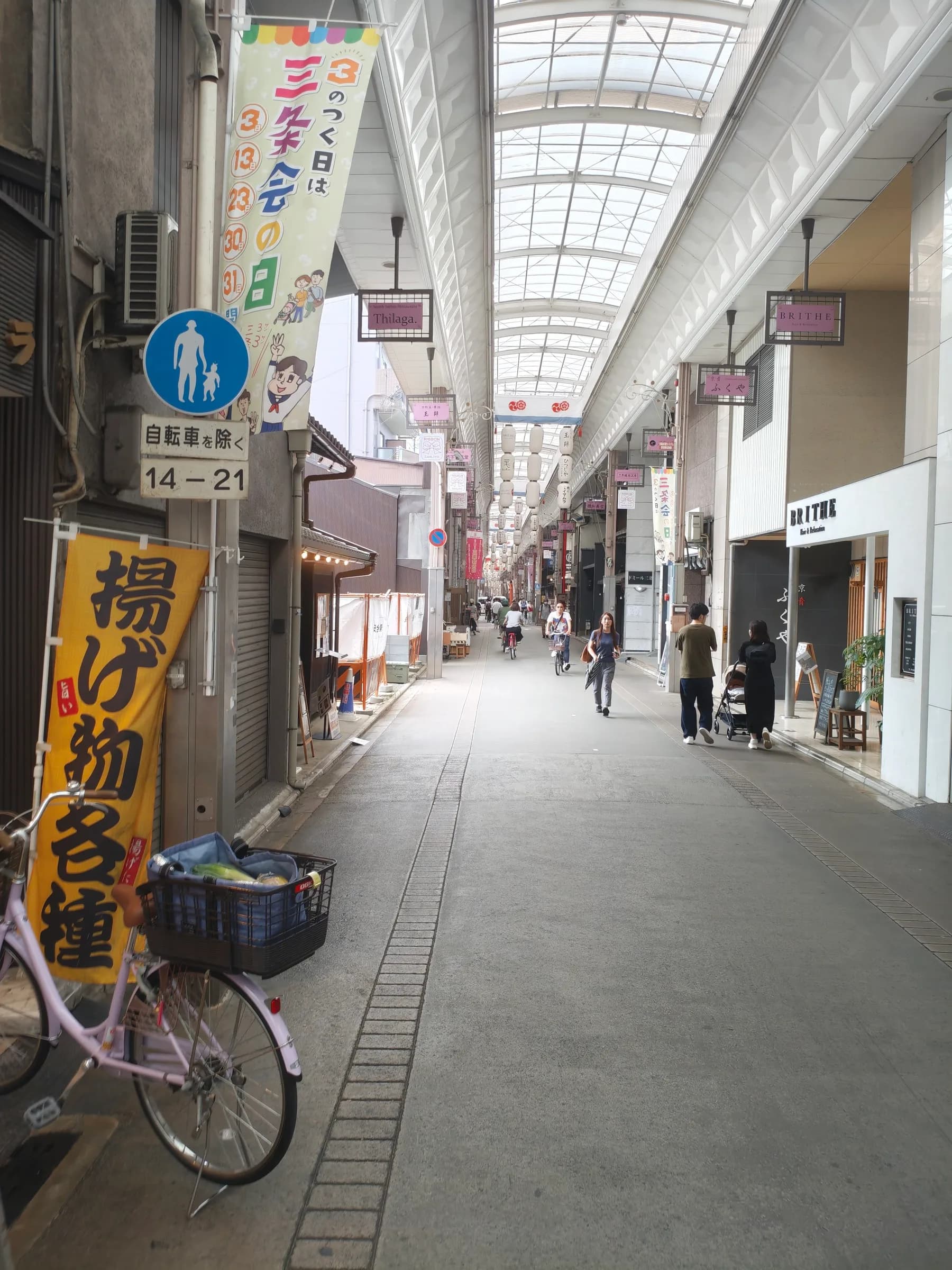Western Kyoto Bike Tour: Ninna-ji, Hilltop Views and Yokai Street