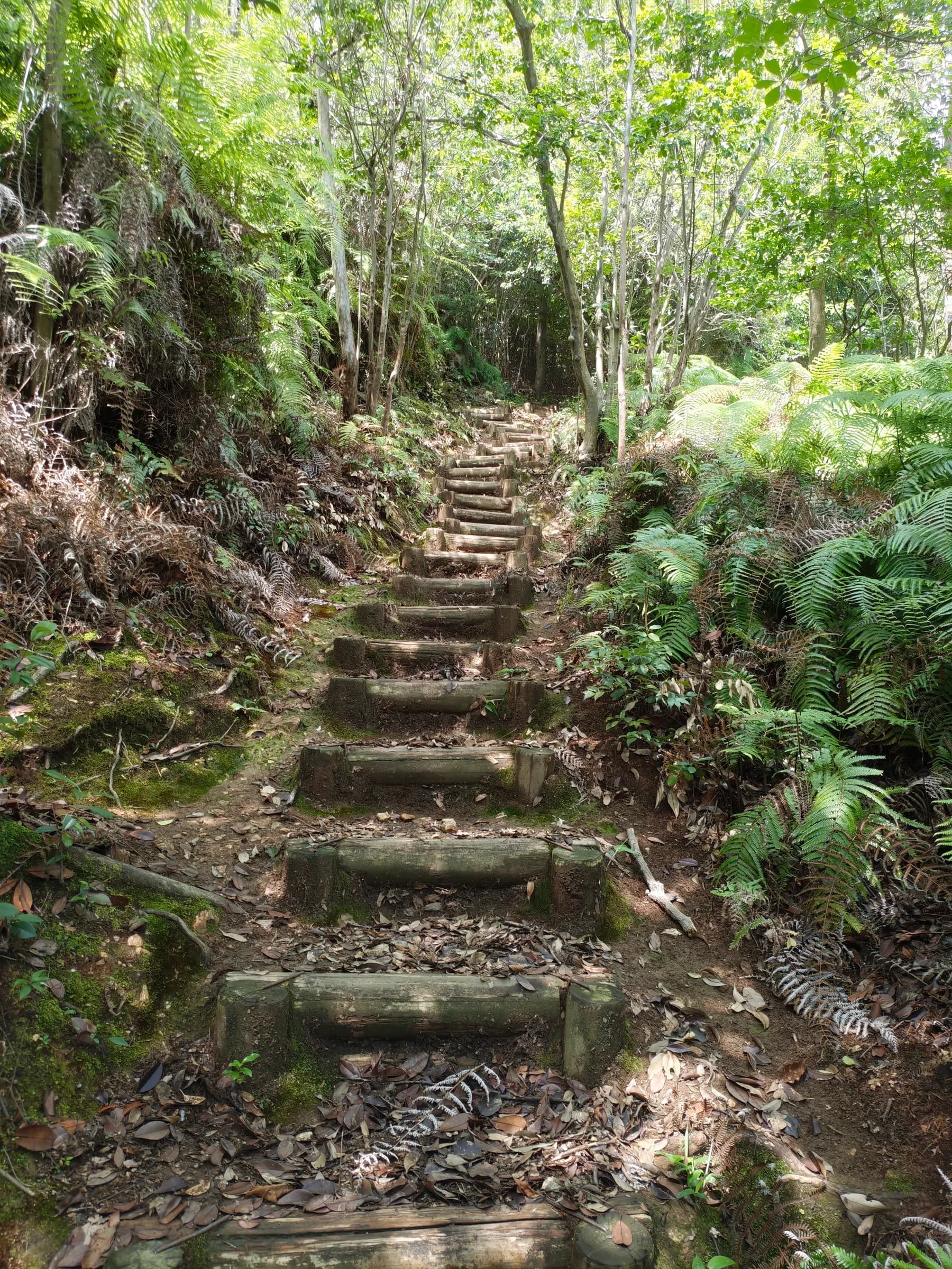 Western Kyoto Bike Tour: Ninna-ji, Hilltop Views and Yokai Street