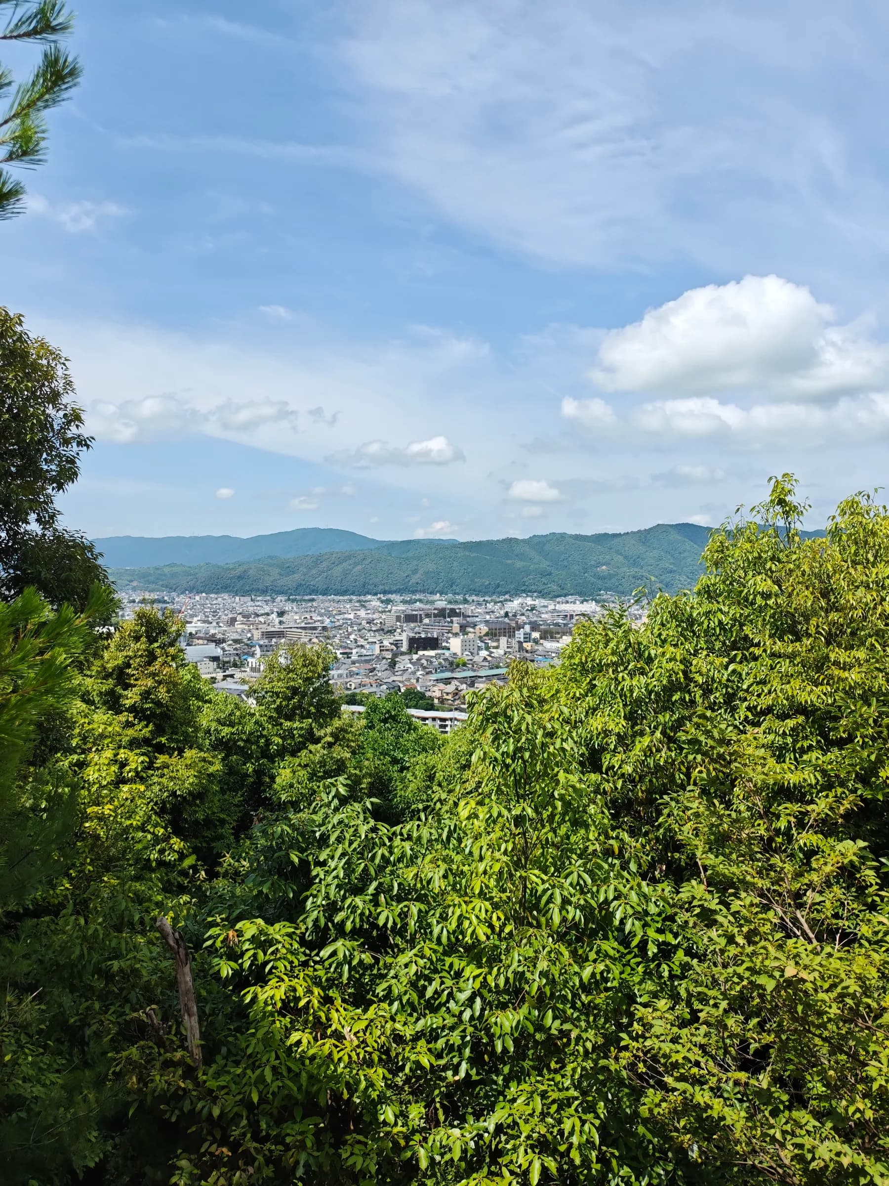 Western Kyoto Bike Tour: Ninna-ji, Hilltop Views and Yokai Street