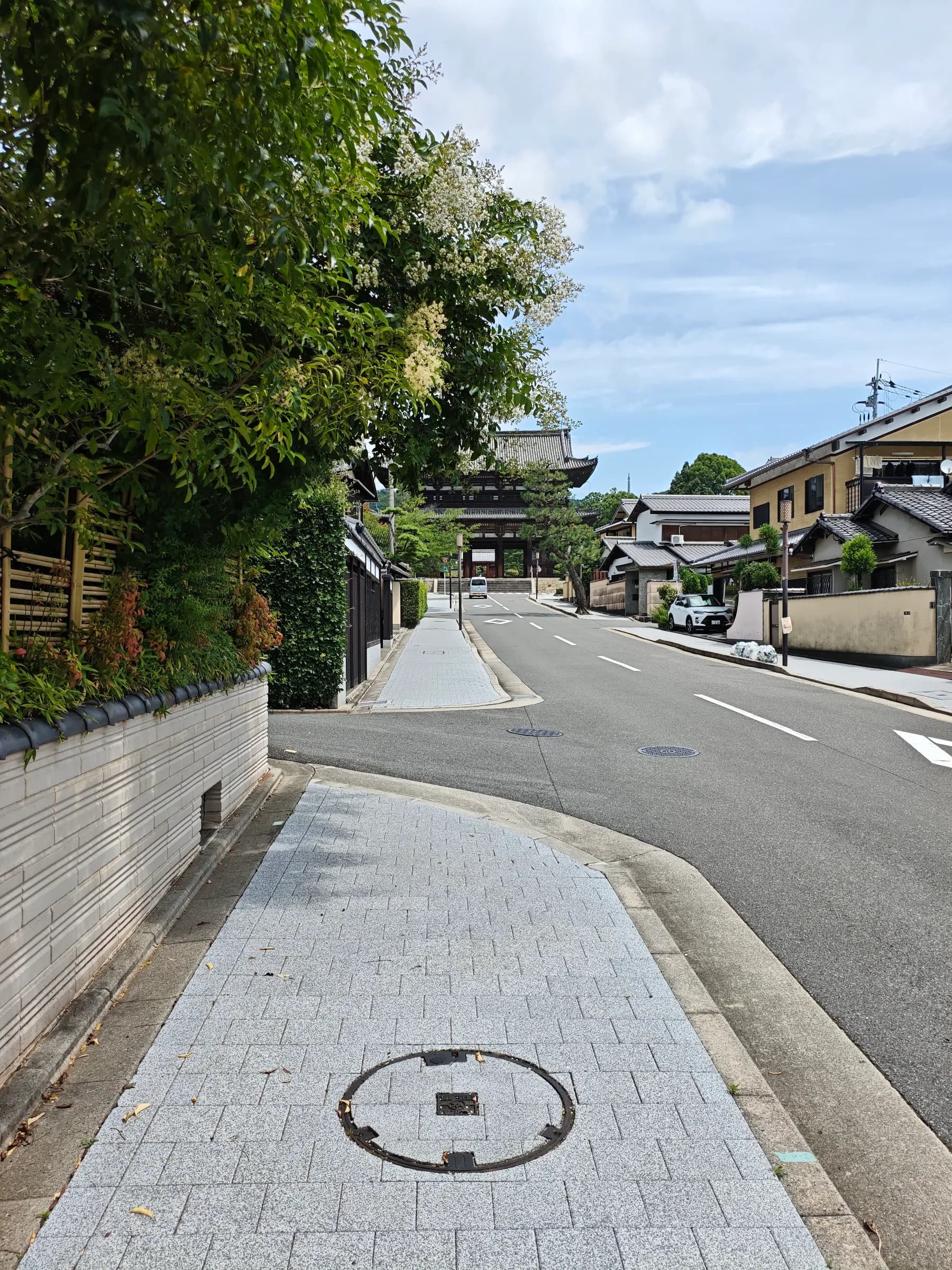 Western Kyoto Bike Tour: Ninna-ji, Hilltop Views and Yokai Street