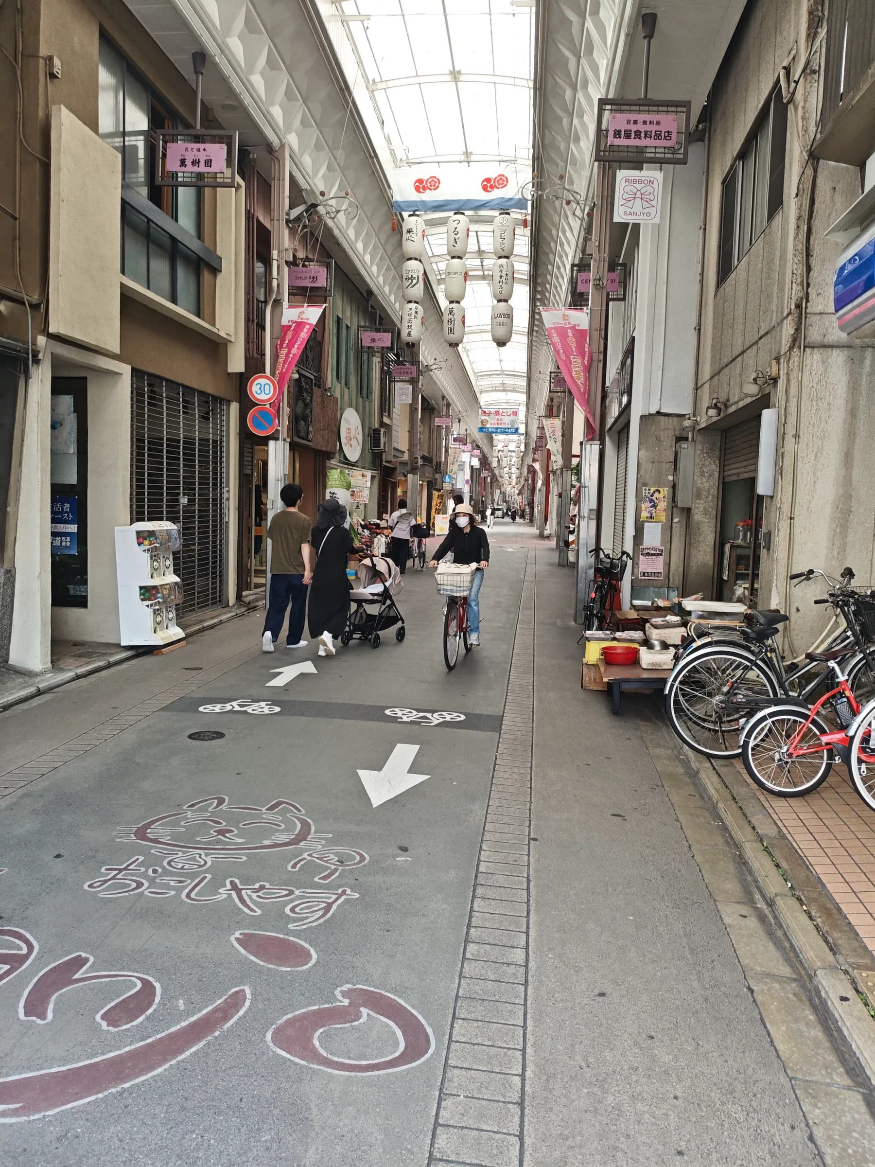Western Kyoto Bike Tour: Ninna-ji, Hilltop Views and Yokai Street