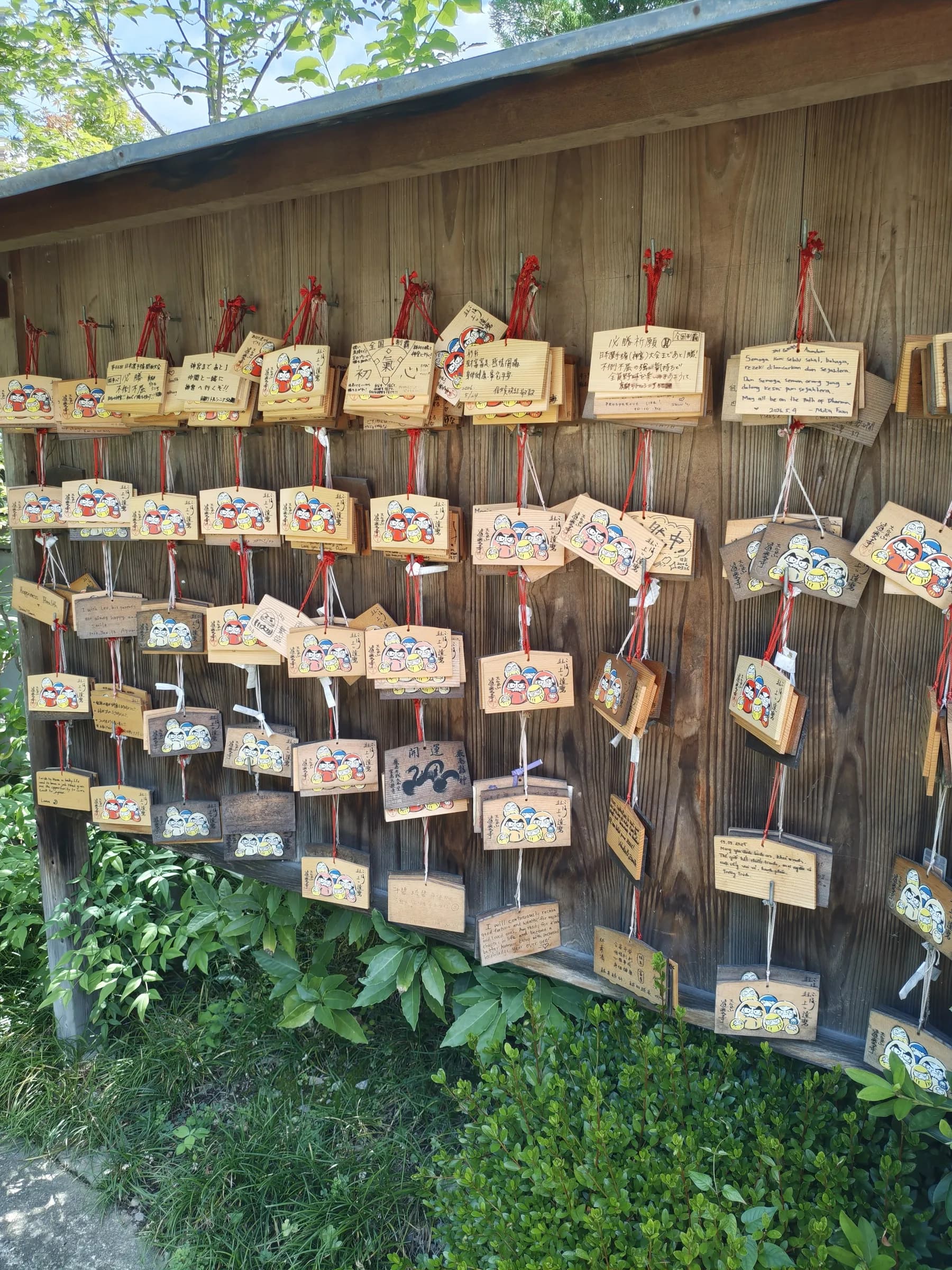 Western Kyoto Bike Tour: Ninna-ji, Hilltop Views and Yokai Street