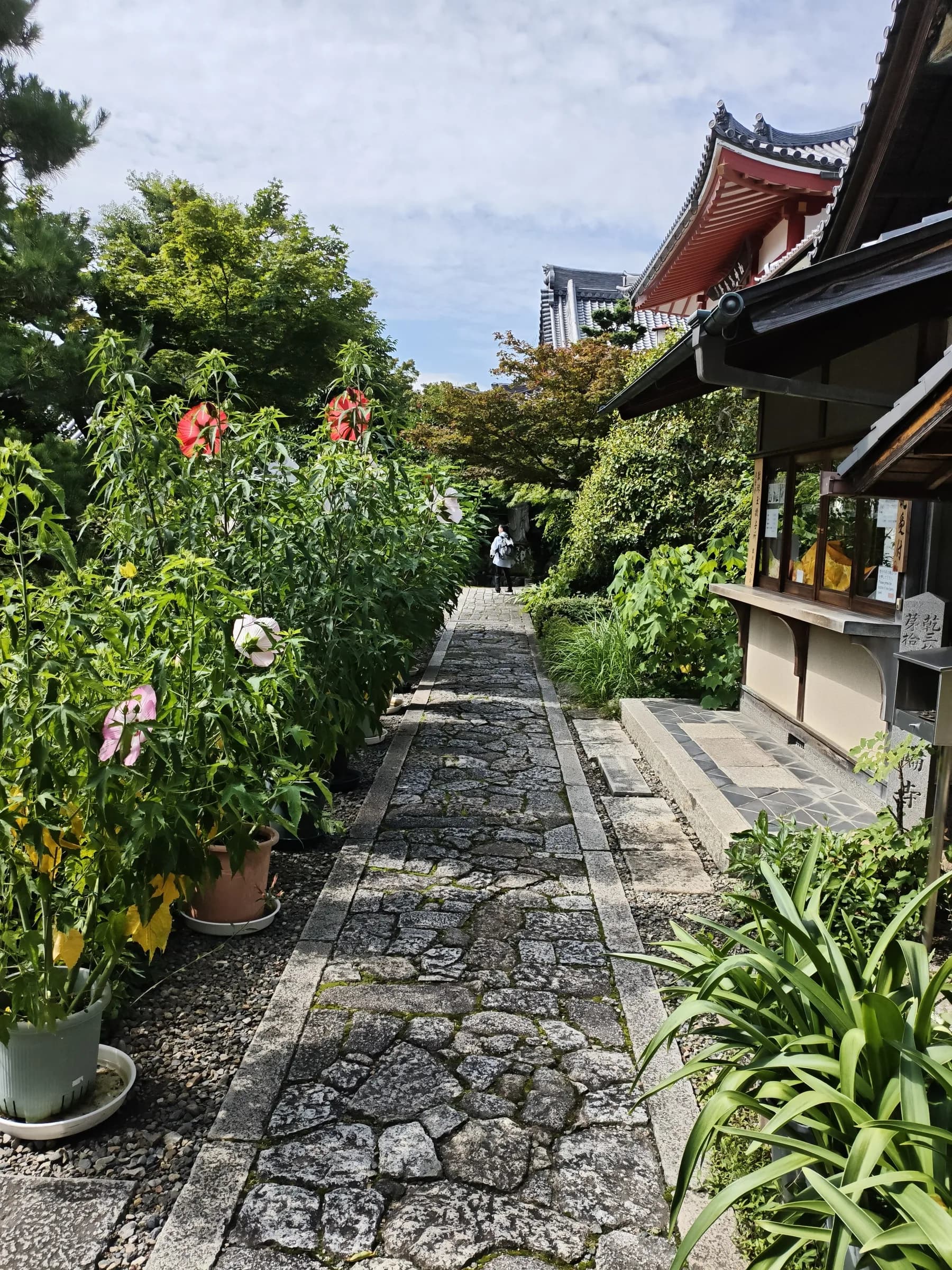 Western Kyoto Bike Tour: Ninna-ji, Hilltop Views and Yokai Street