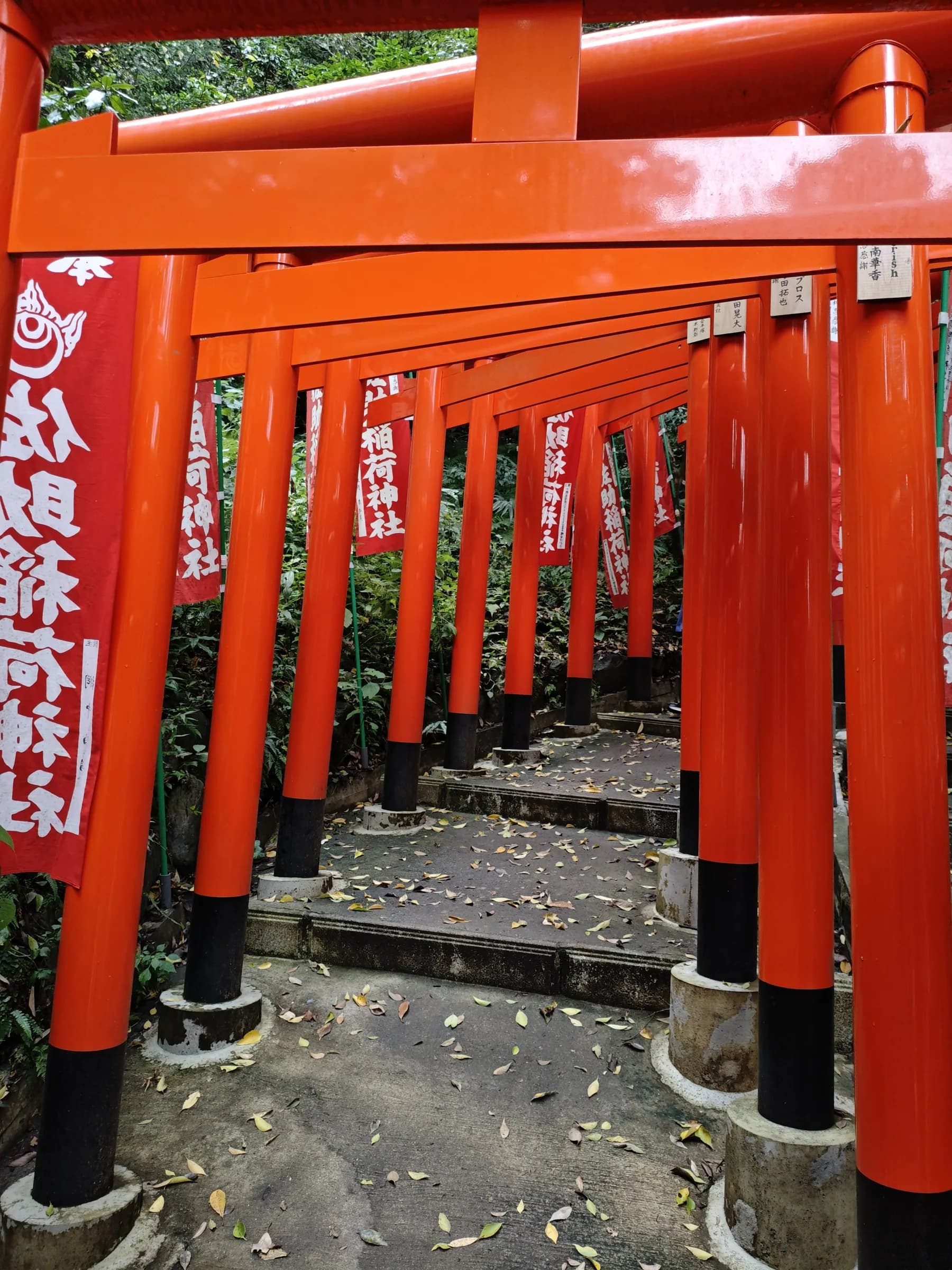 Kamakura Half-Day Walking Tour: Great Buddha, Hase-dera and Forest Trail