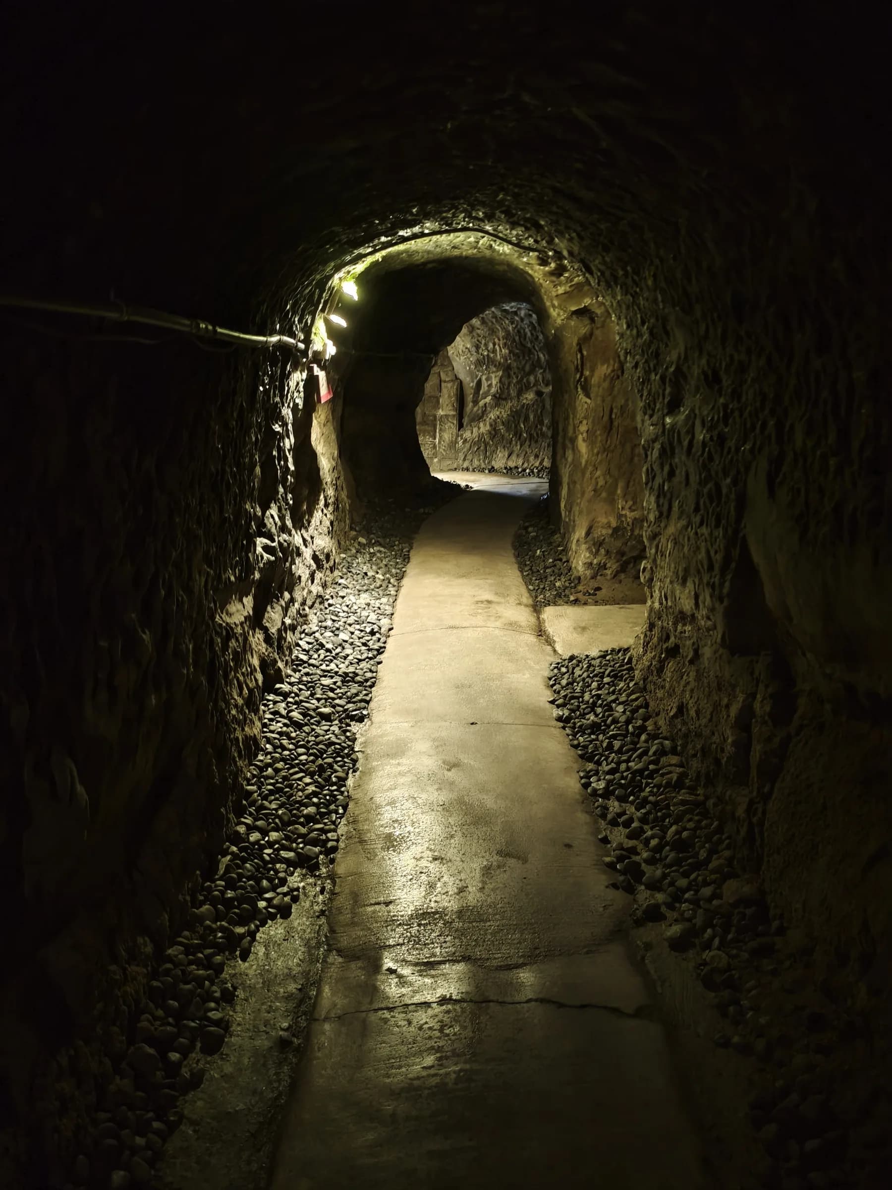 Kamakura Half-Day Walking Tour: Great Buddha, Hase-dera and Forest Trail