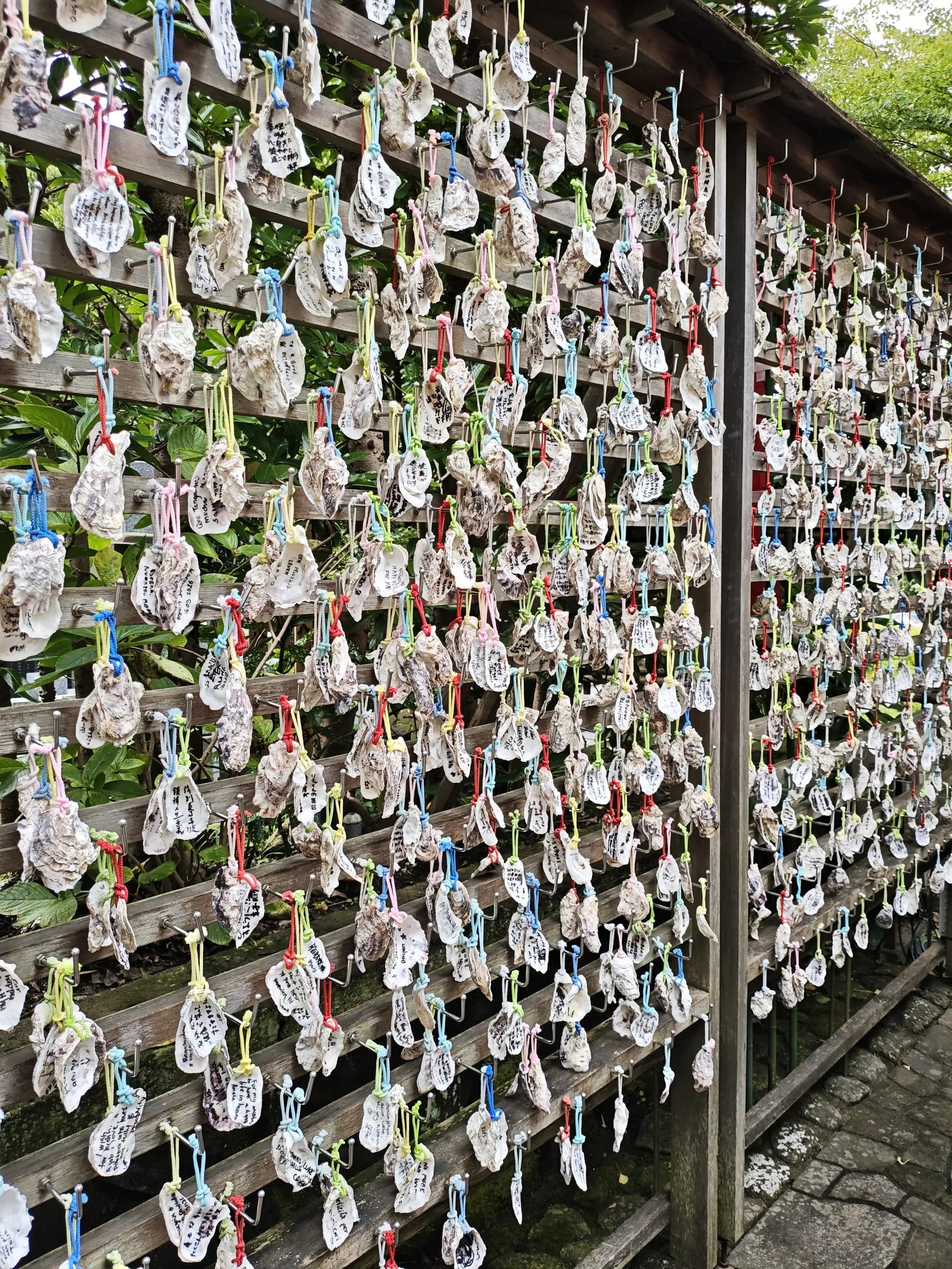 Kamakura Half-Day Walking Tour: Great Buddha, Hase-dera and Forest Trail