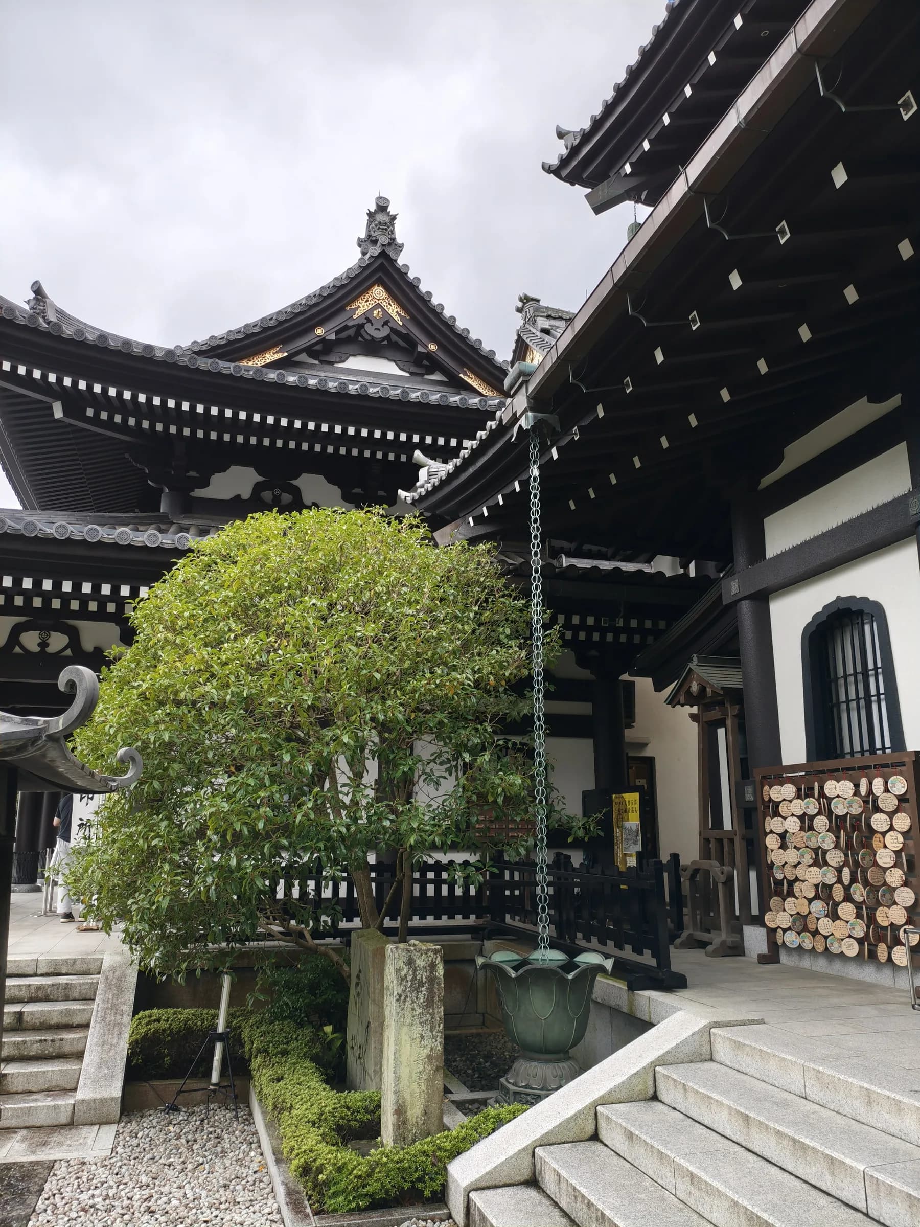 Kamakura Half-Day Walking Tour: Great Buddha, Hase-dera and Forest Trail